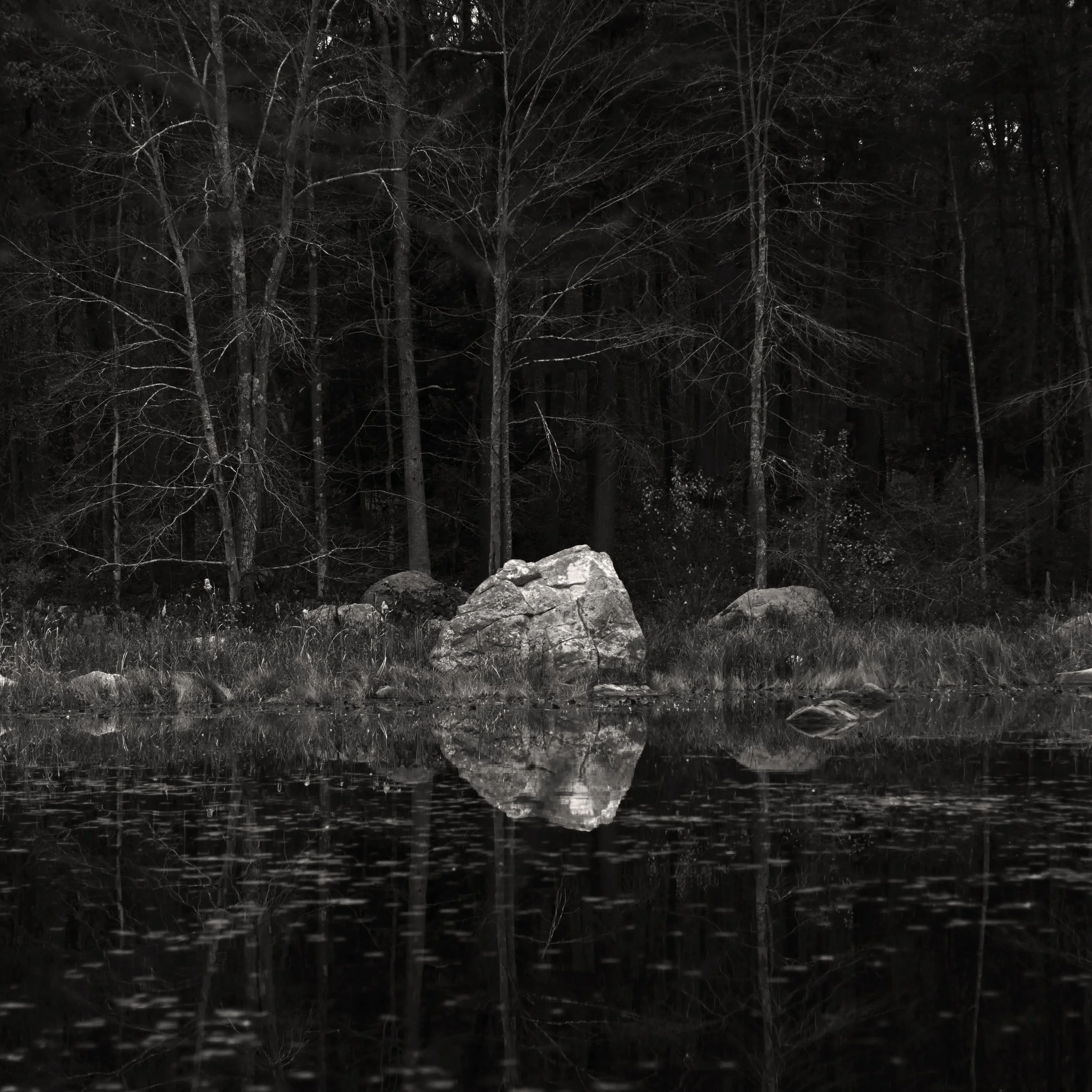 A black and white photo of a forest with foggy water in the foreground, a large rock and some smaller rocks near the water's edge, and tall bare trees in the background.