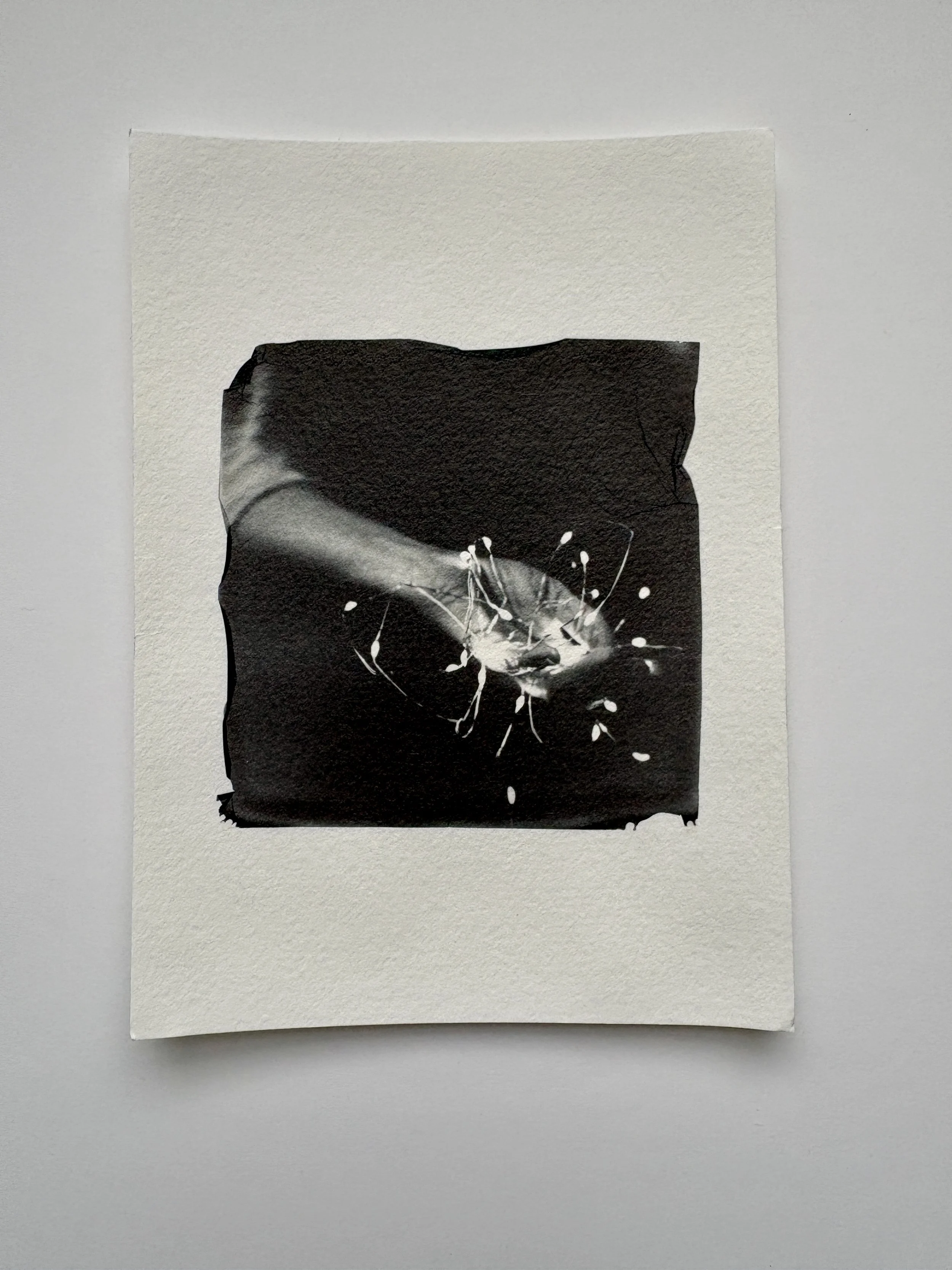 Black and white portrait of a hand holding string of light
