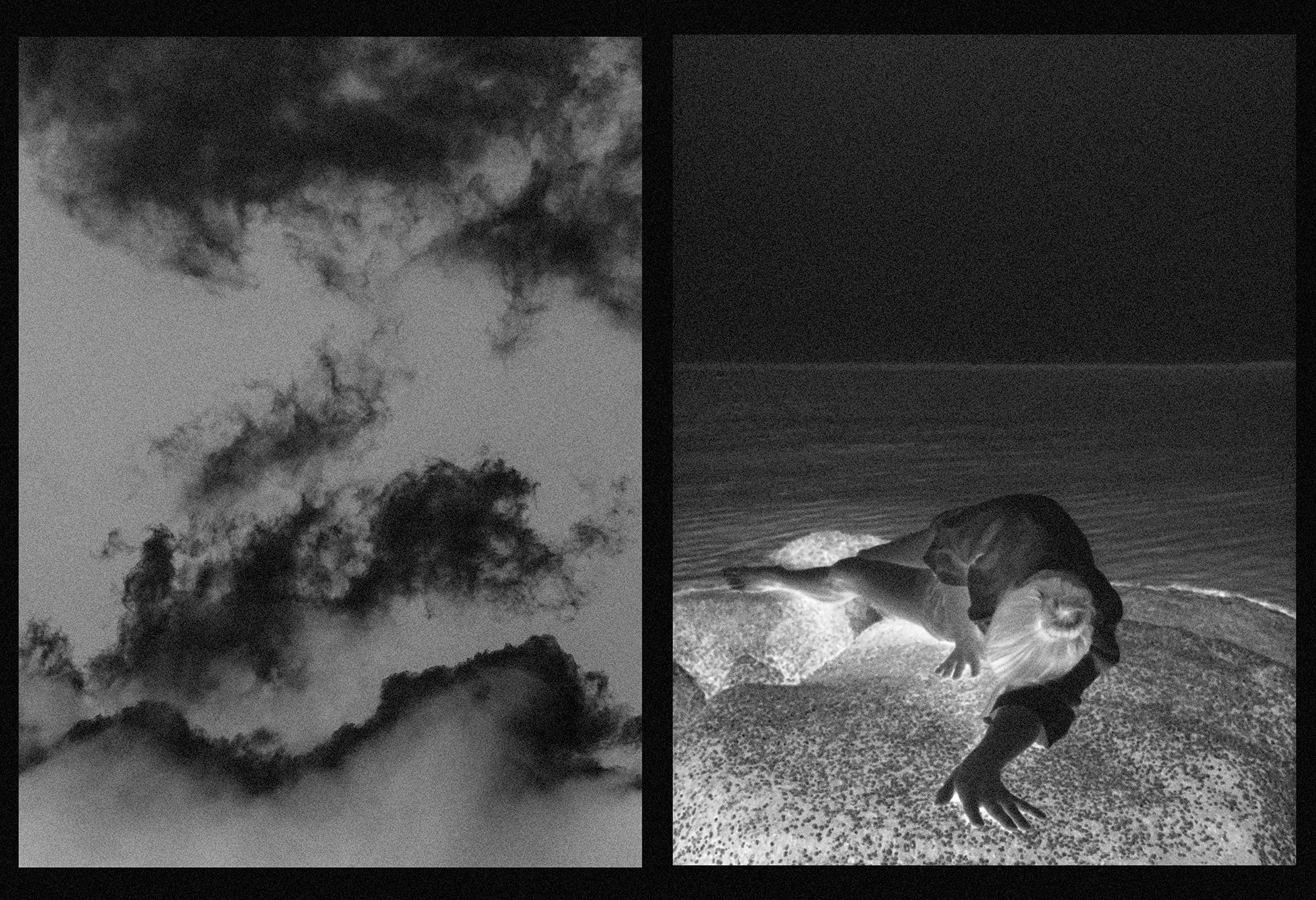 How the light gets in (diptych 2) Nikki Gardner 2000px.jpg