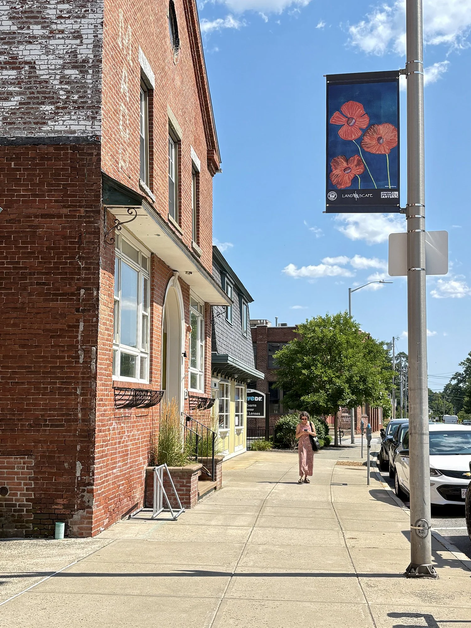 Orange Poppies Banner Art by Nikki Gardner