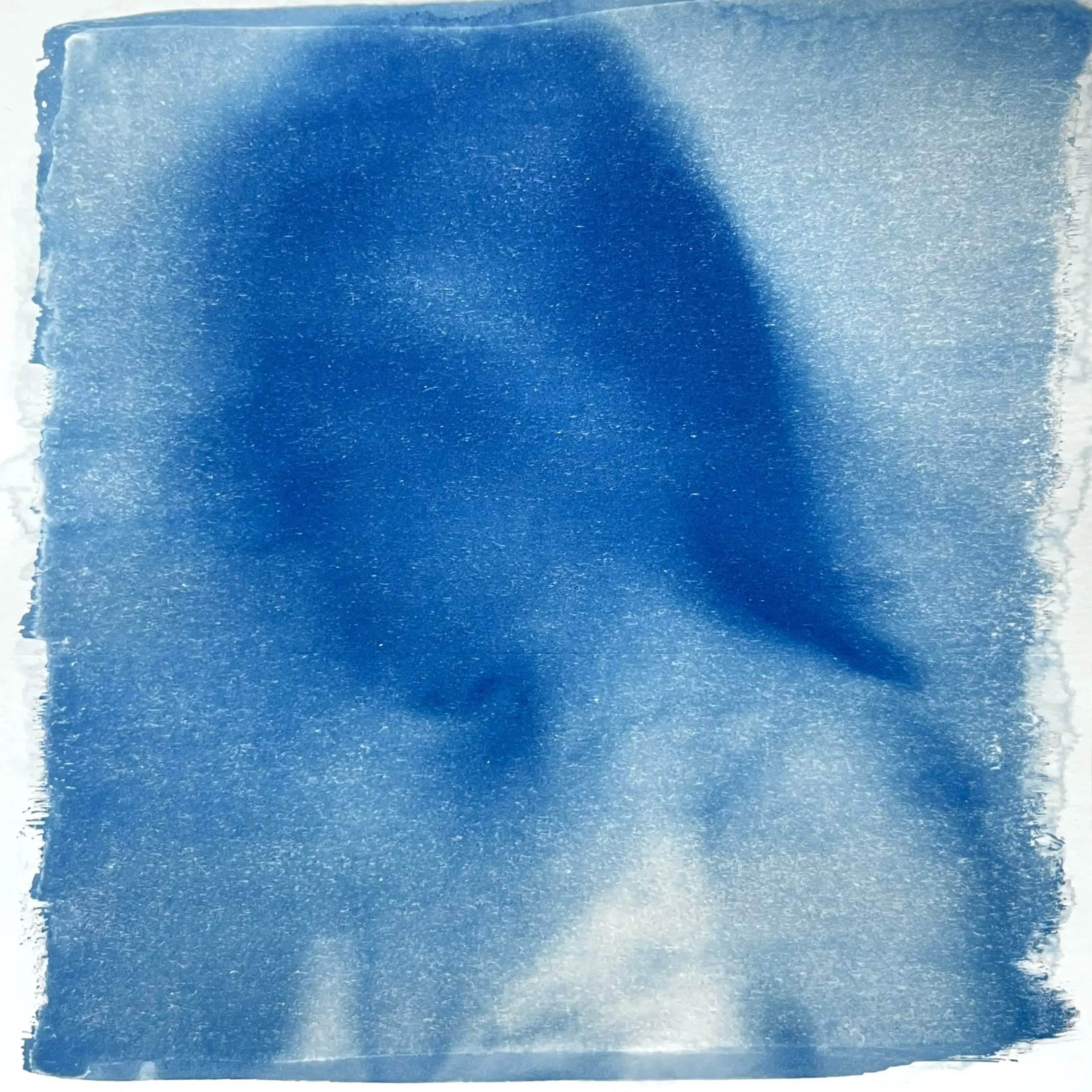 cyanotype portrait in motion print Nikki Gardner Studio