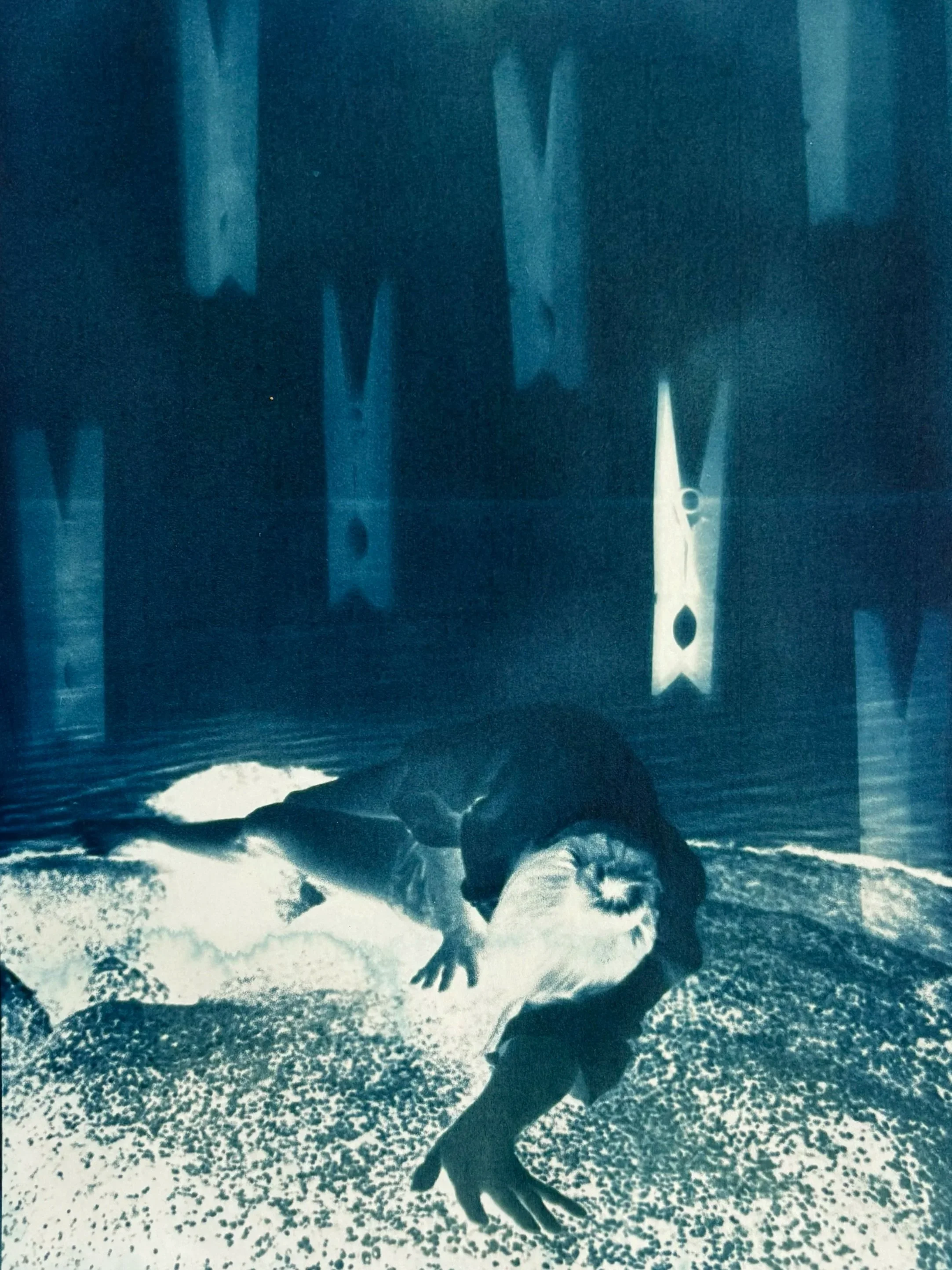 Nikki Gardner Cyanotype Artwork Transcend.jpg