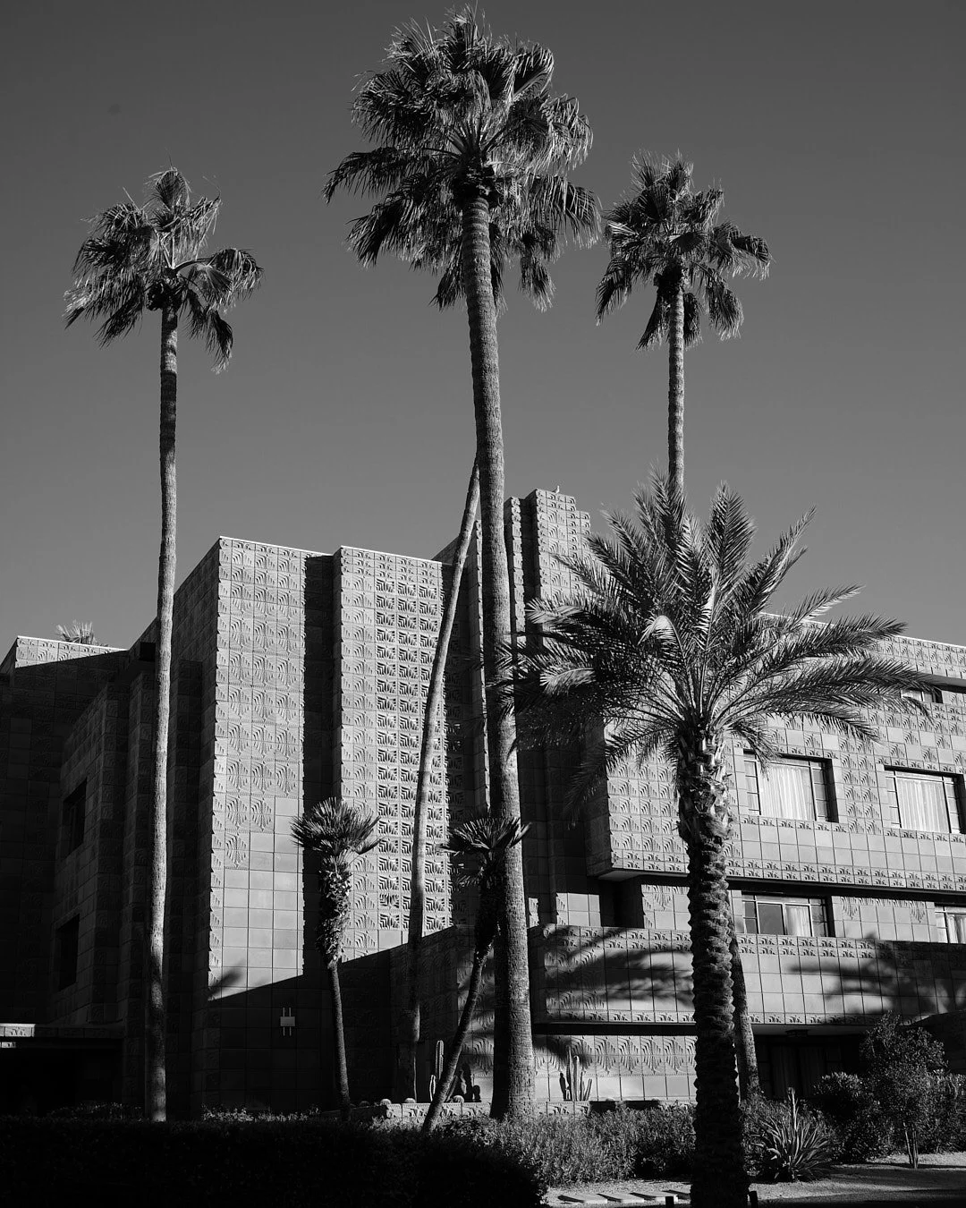  Arizona Biltmore #Biltmore #AZB #AZBiltmore