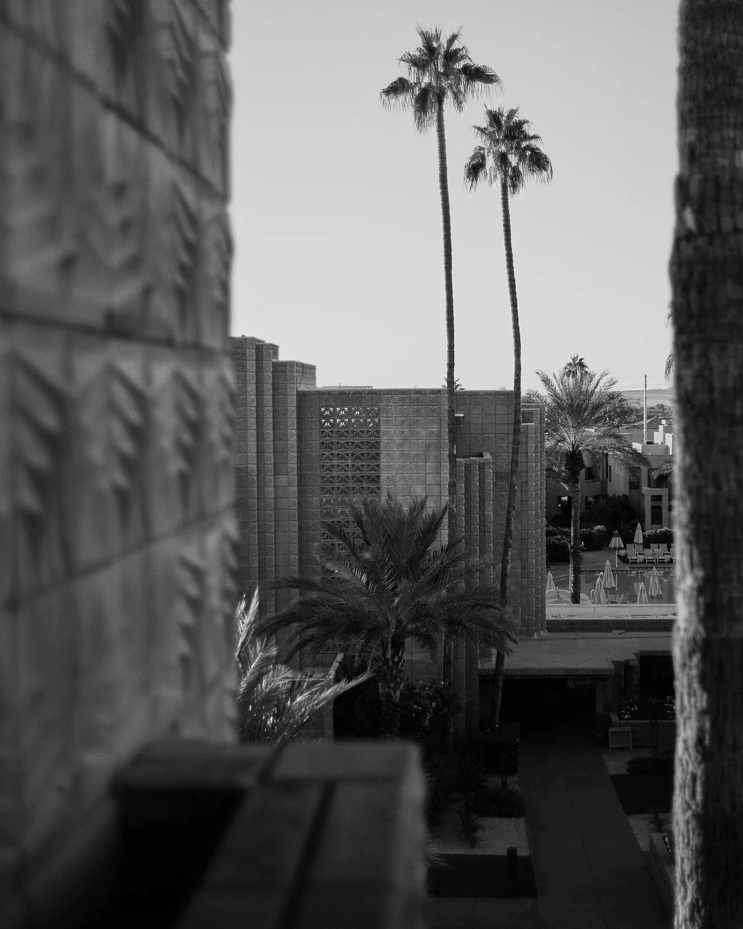  Arizona Biltmore #Biltmore #AZB #AZBiltmore