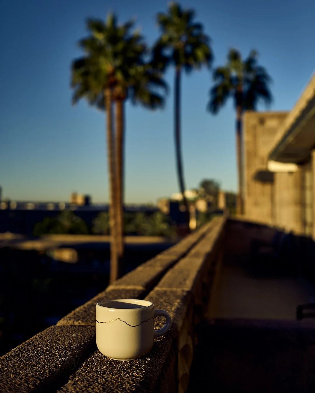  Arizona Biltmore #Biltmore #AZB #AZBiltmore