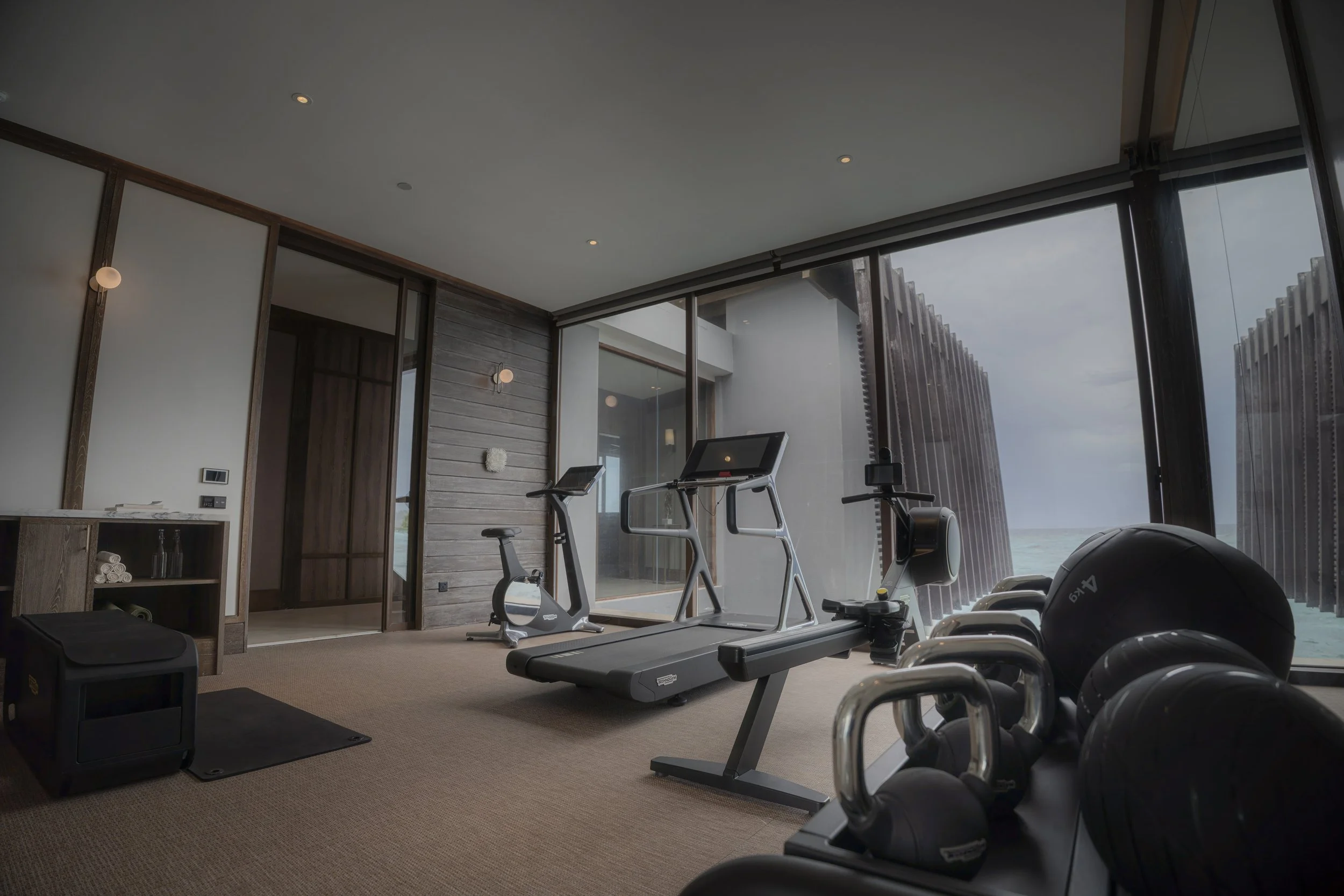 Home gym room with treadmill, exercise bike, kettlebells, a medicine ball, and a view of the ocean through large glass windows.