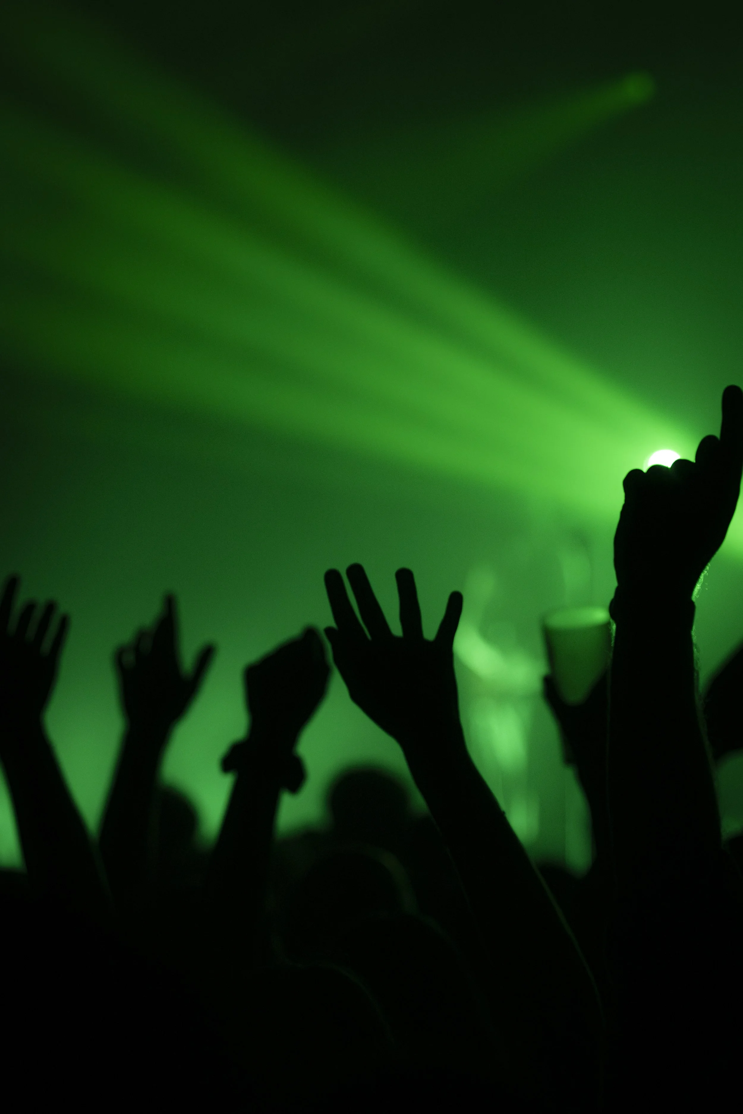 Silhouettes of people with their hands raised at a concert or party, illuminated by green stage lighting.