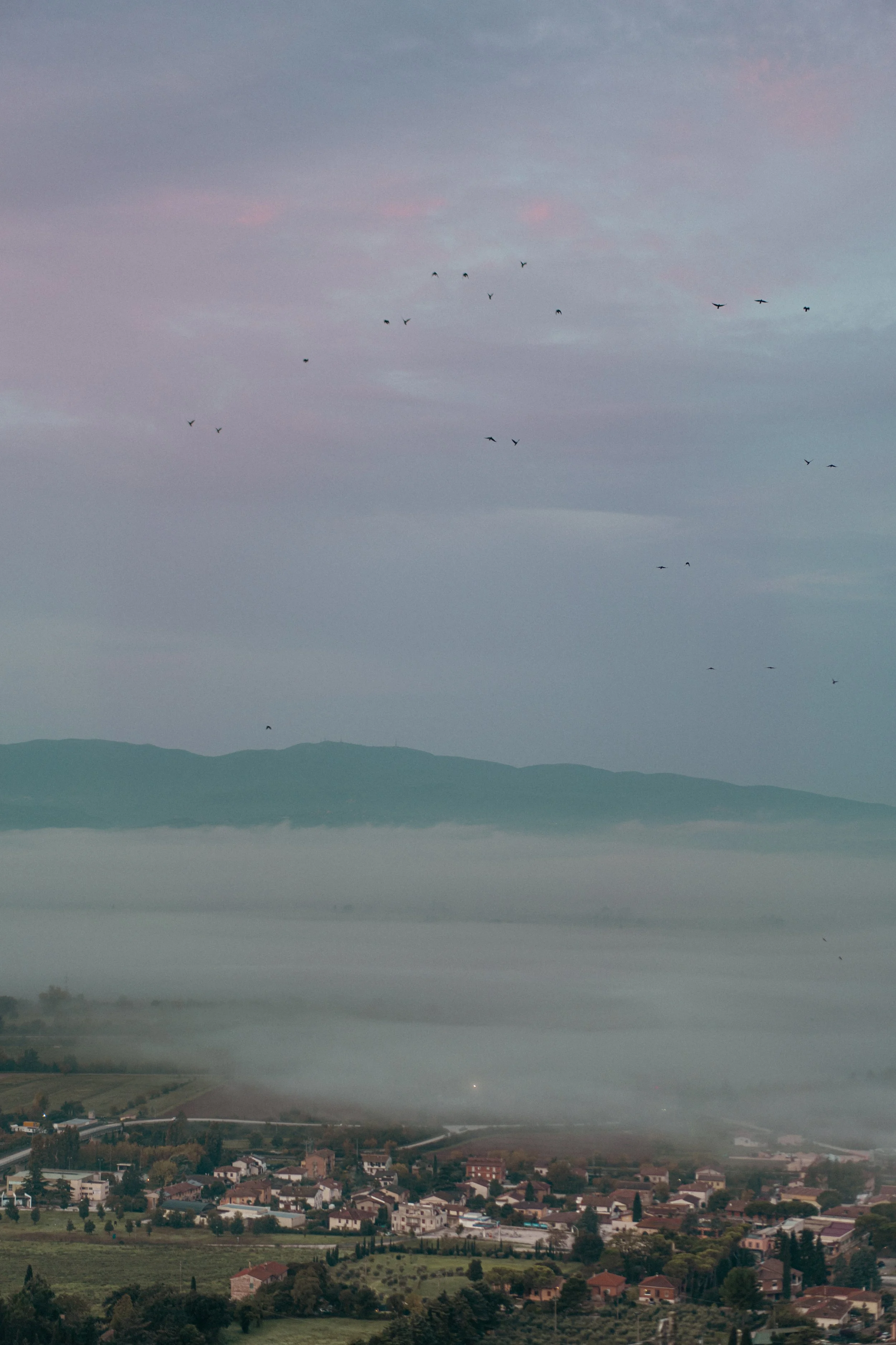 TORTI EDITED PHOTOGRAPHS-41.jpg