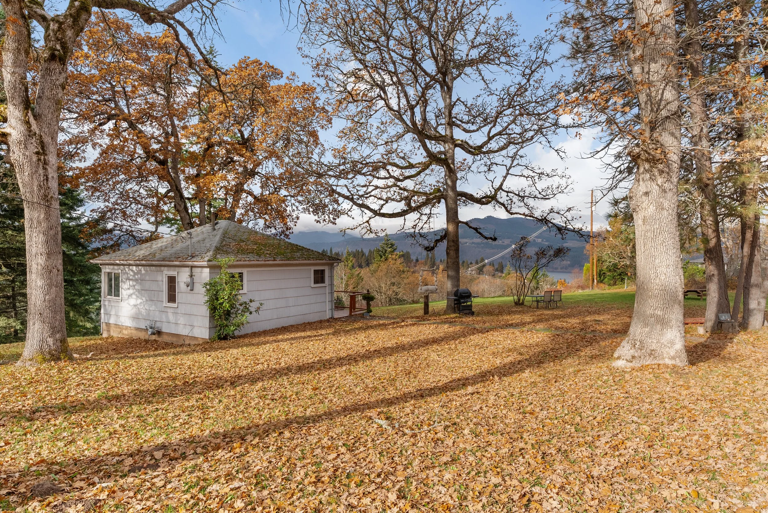 View of a backyard with fallen autumn leaves, several large trees with some leaves still on the branches, a small white house, a barbecue grill, garden bench, and distant mountains under a partly cloudy sky.