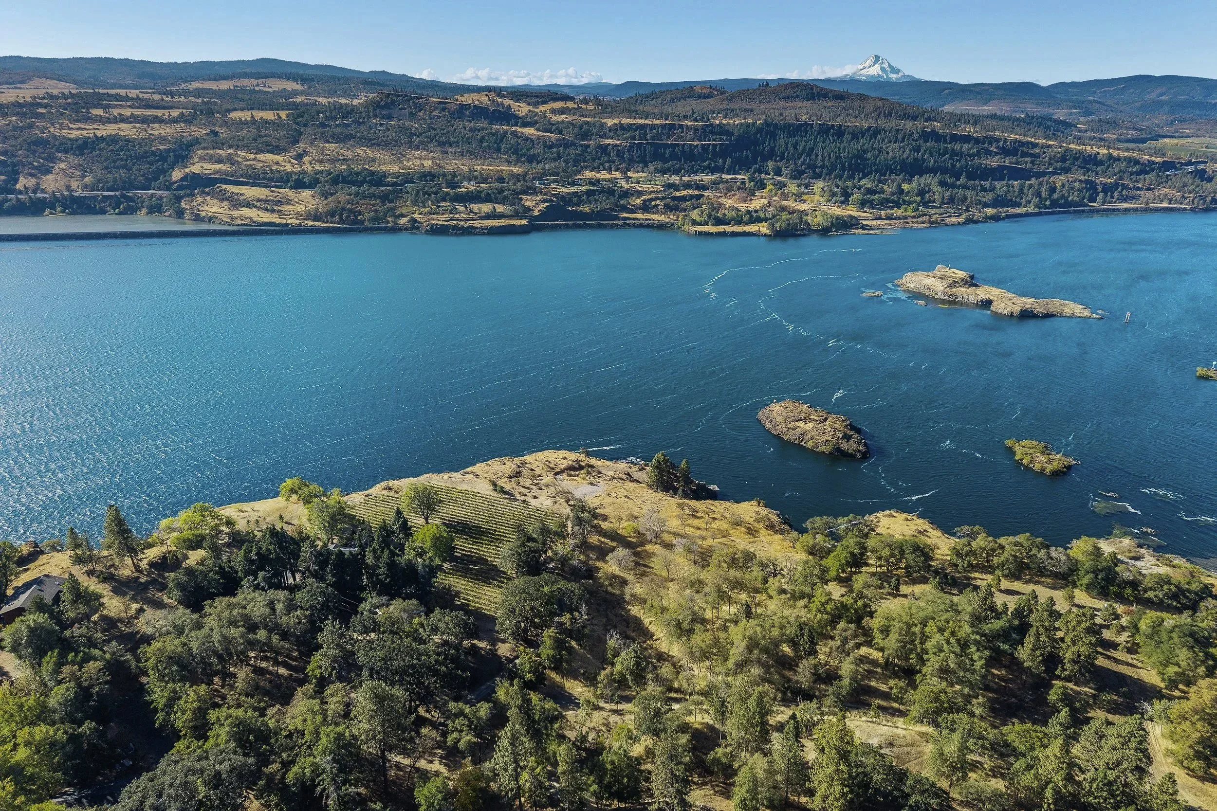 Aerial view of a large blue lake with small islands, surrounded by green and brown forests and hills, with a snow-capped mountain in the distance.