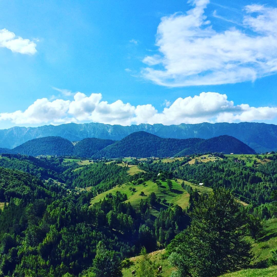 Summer view.jpg
