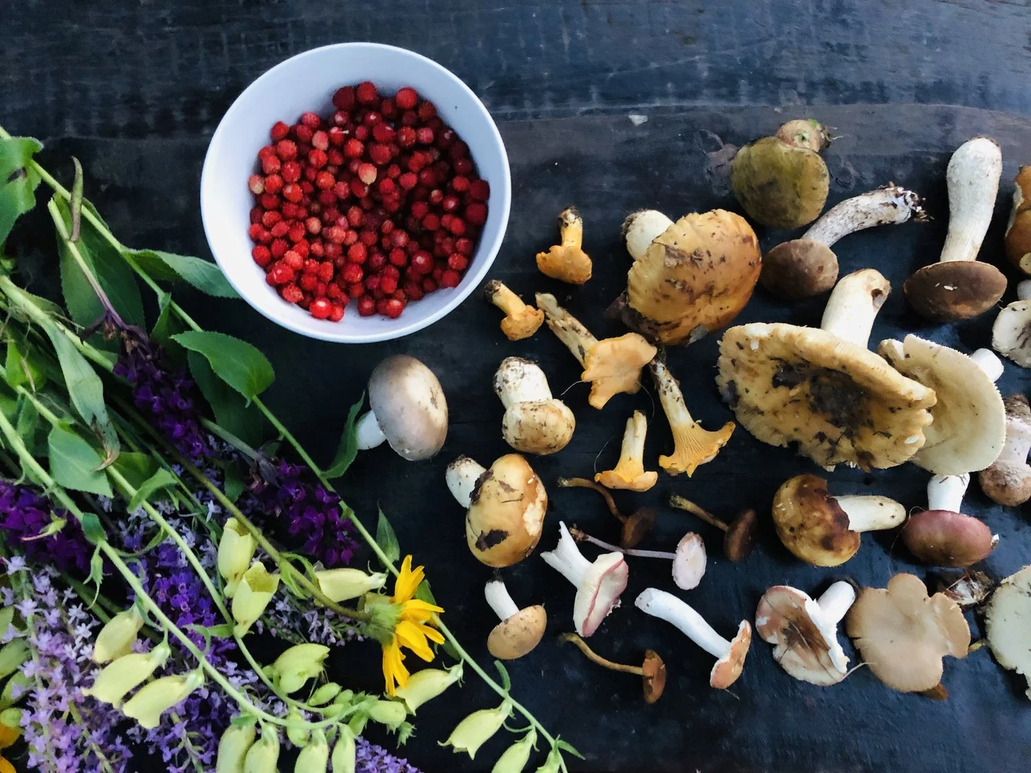 Foraging for Wild Berries, Mushrooms, and Medicinal Plants in Pestera
