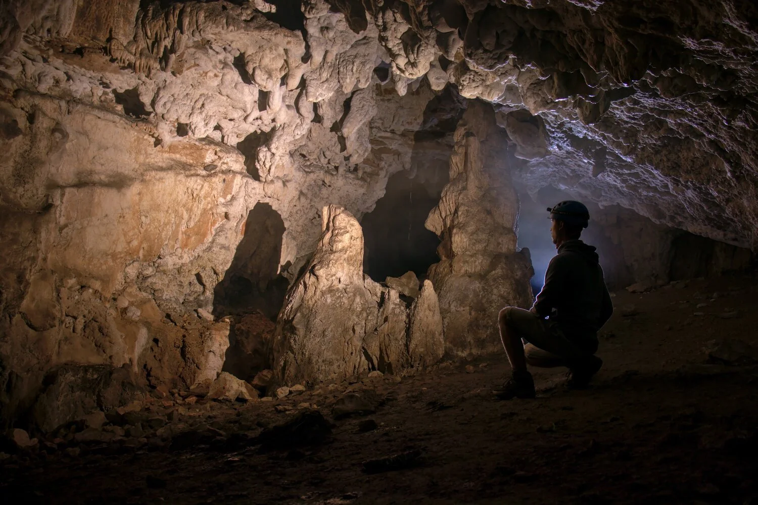 Pestera's Protected Cave: A Unique Bat Sanctuary