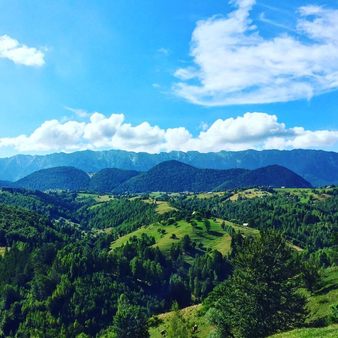 Summer view.jpg