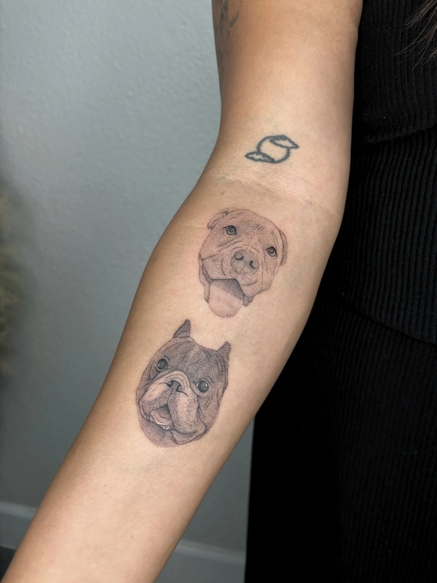 always appreciative of repeat clients 🥺

 📍 Las Vegas, NV

⛓️&zwj;💥 link to tattoo inquiry form &amp; pricing in bio 

#tattooshop #tattooartist #lasvegastattooartist #lasvegasfineline #lasvegasfinelinetattoos #lasvegasfinelinetattooartist #lasveg