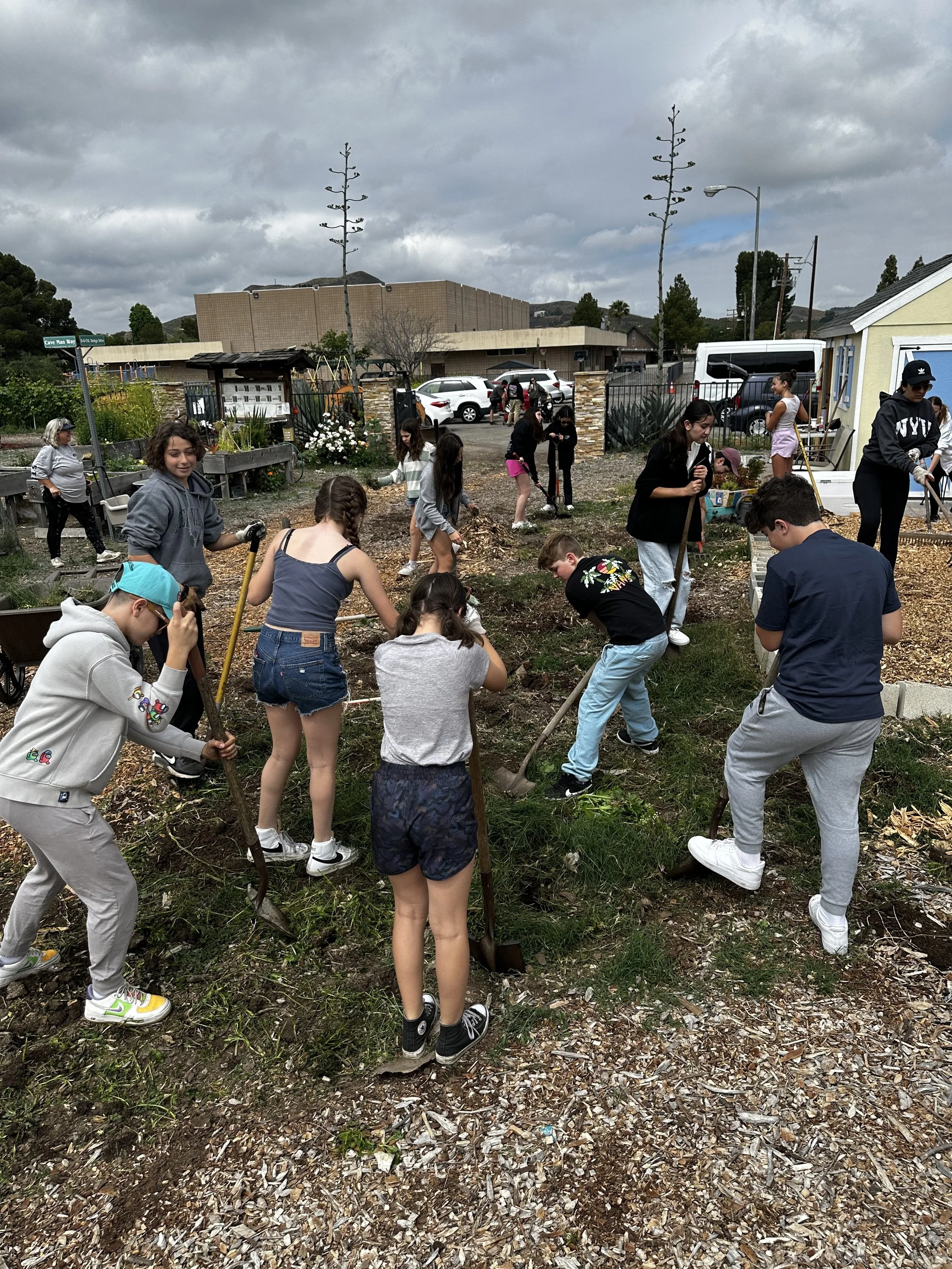 Group of children and teenagers working together in a community garden, digging and planting in the soil on a cloudy day.