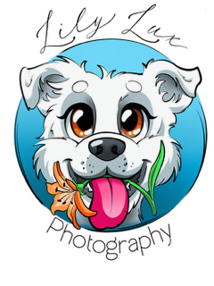 Lily Lux Photography