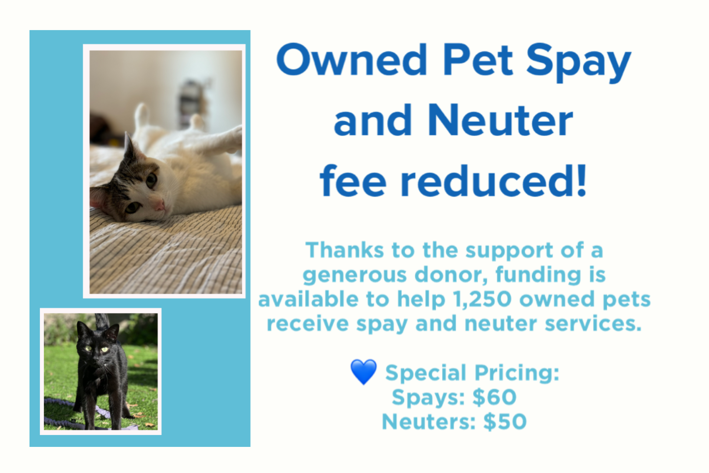 Owned Pet Spay and Neuter Fee Reduced!