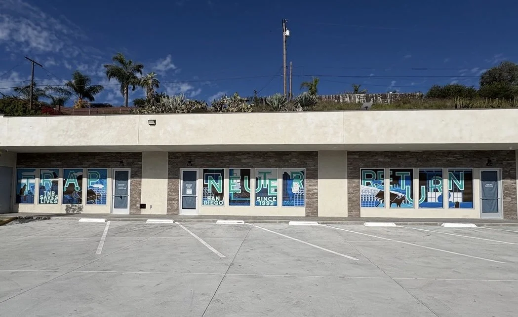 Window Wraps are Up! 