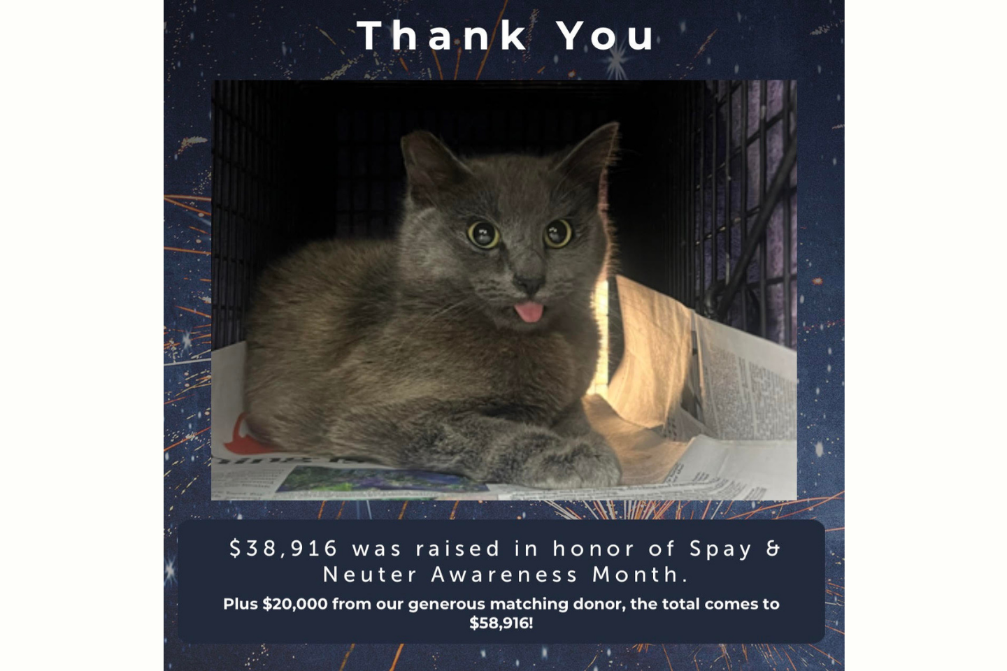 Donation Match Update 