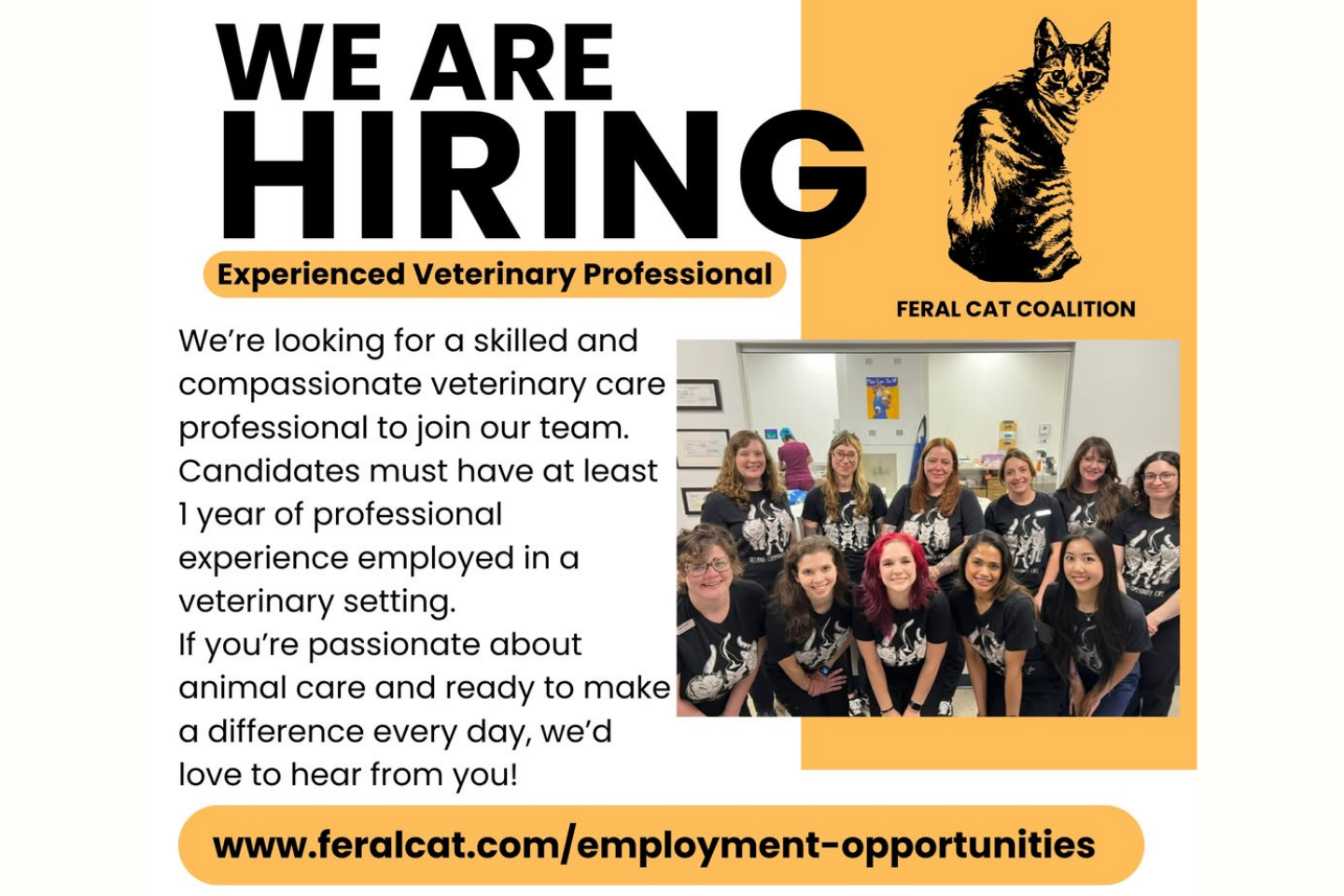 Join our team!
