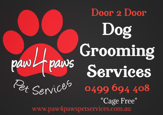 Paw4Paws Pet Services