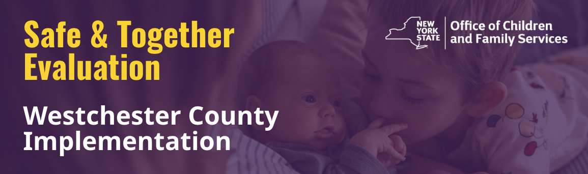 Westchester County Implementation of the Safe &amp; Together Model