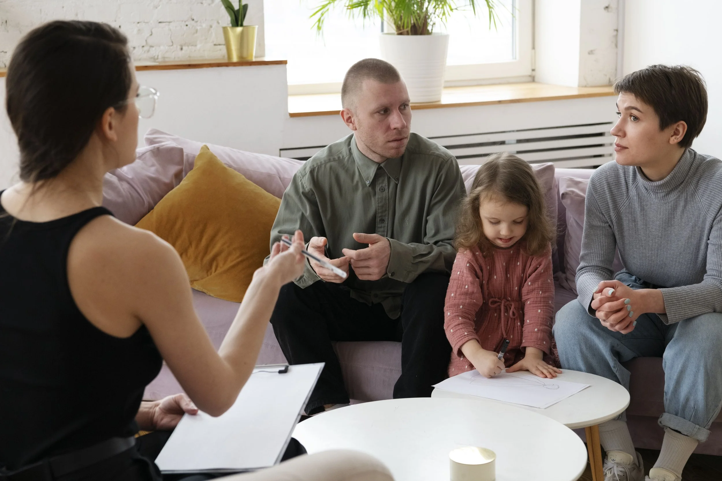 Reducing System Fragmentation in Domestic and Family Violence Responses ...