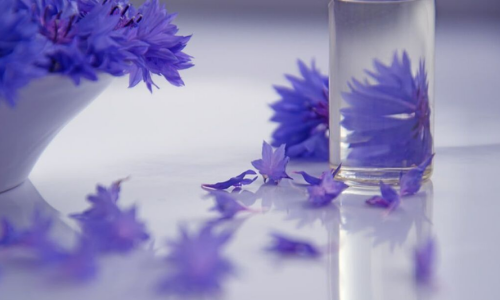 Vivid purple flowers in vases and bowl close up
