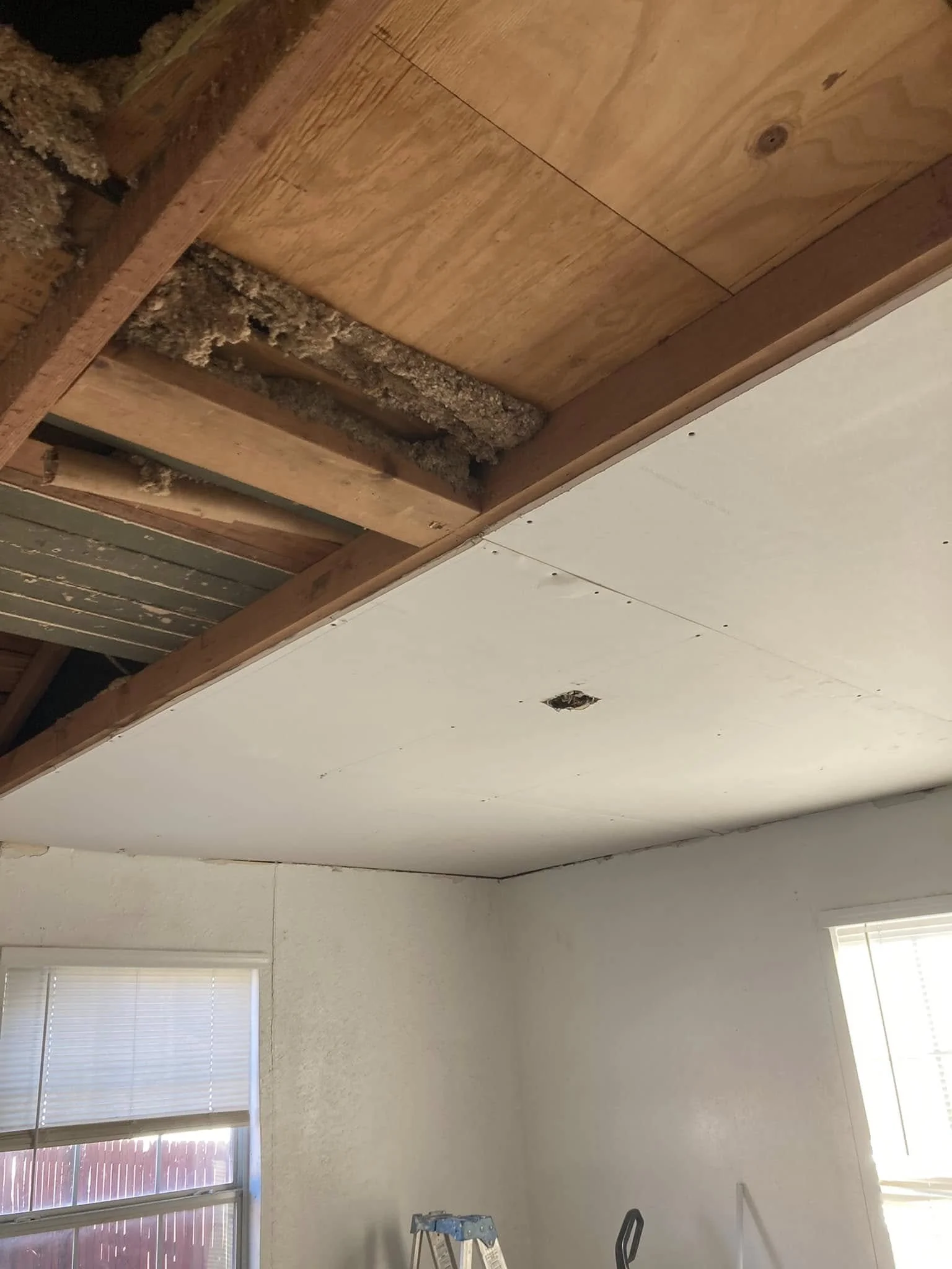 Ceiling under construction with insulation and drywall, some gaps and holes visible, in a room with windows and a ladder.