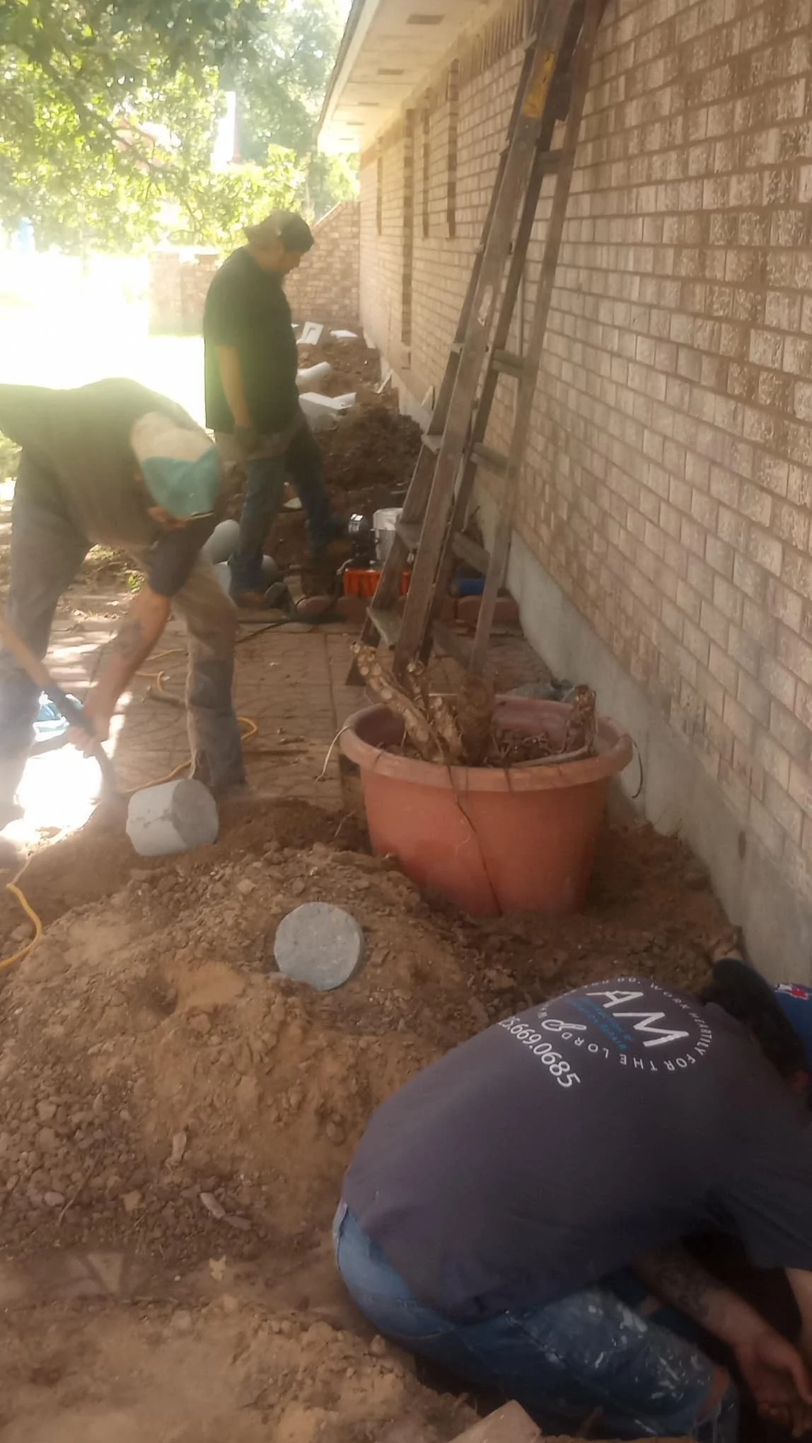Workers digging in soil beside a brick house with a ladder leaning against the wall, greenery in the background.