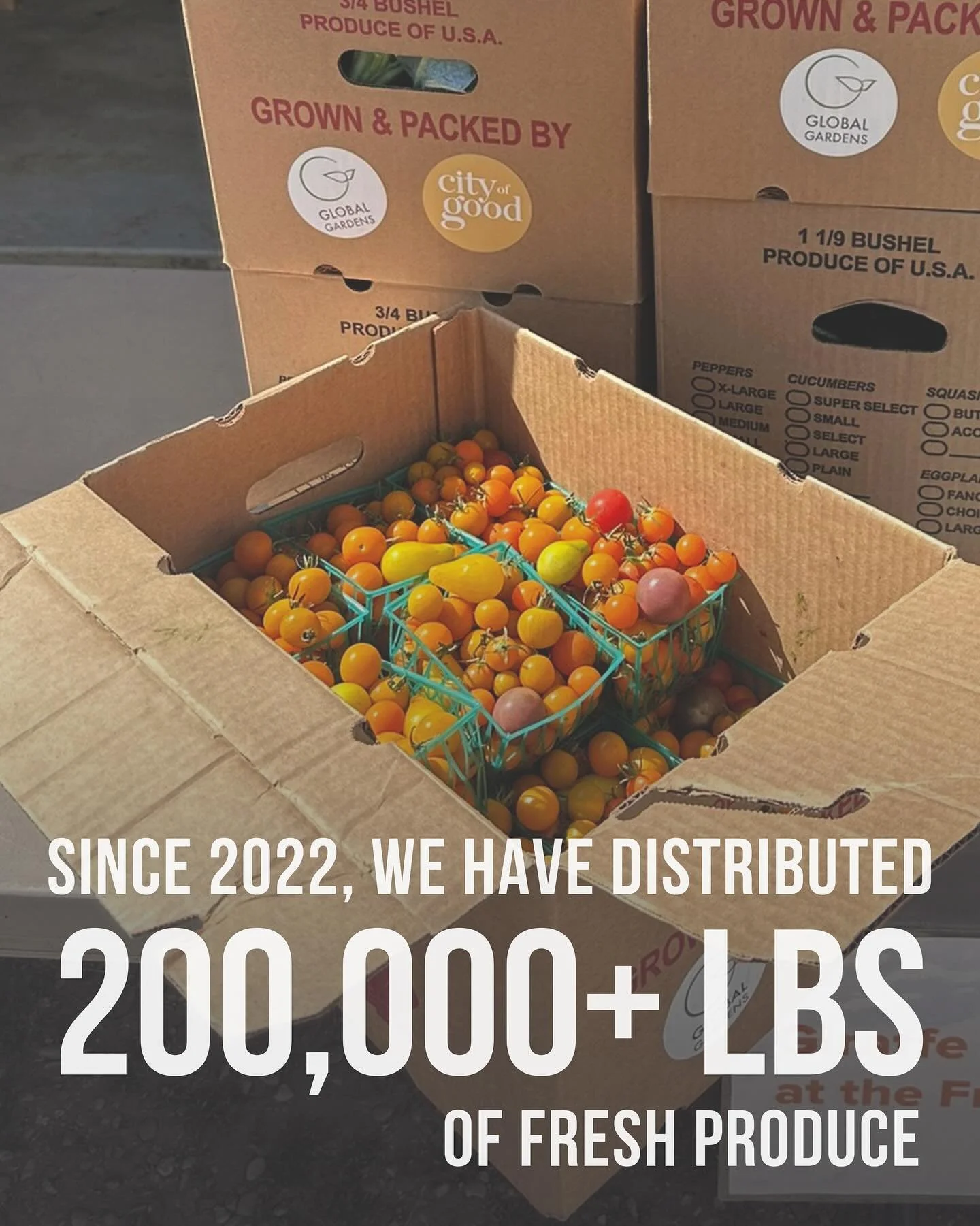 This week City of Good, with the help of @idahofoodbank and @globalgardensboise , delivered our 200,000th pound of produce since 2022, with 100,000 of those pounds being distributed in 2025 alone.

However, this impressive milestone also comes as a r