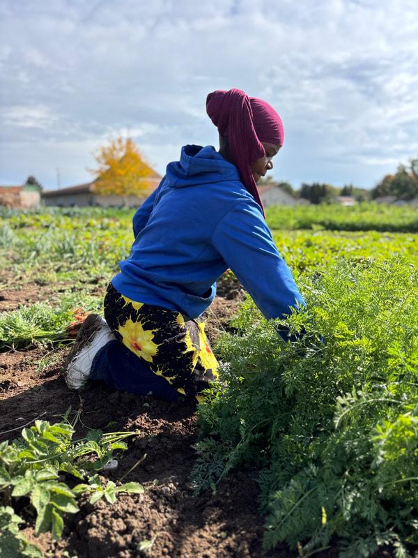 Safiya farming in the fields