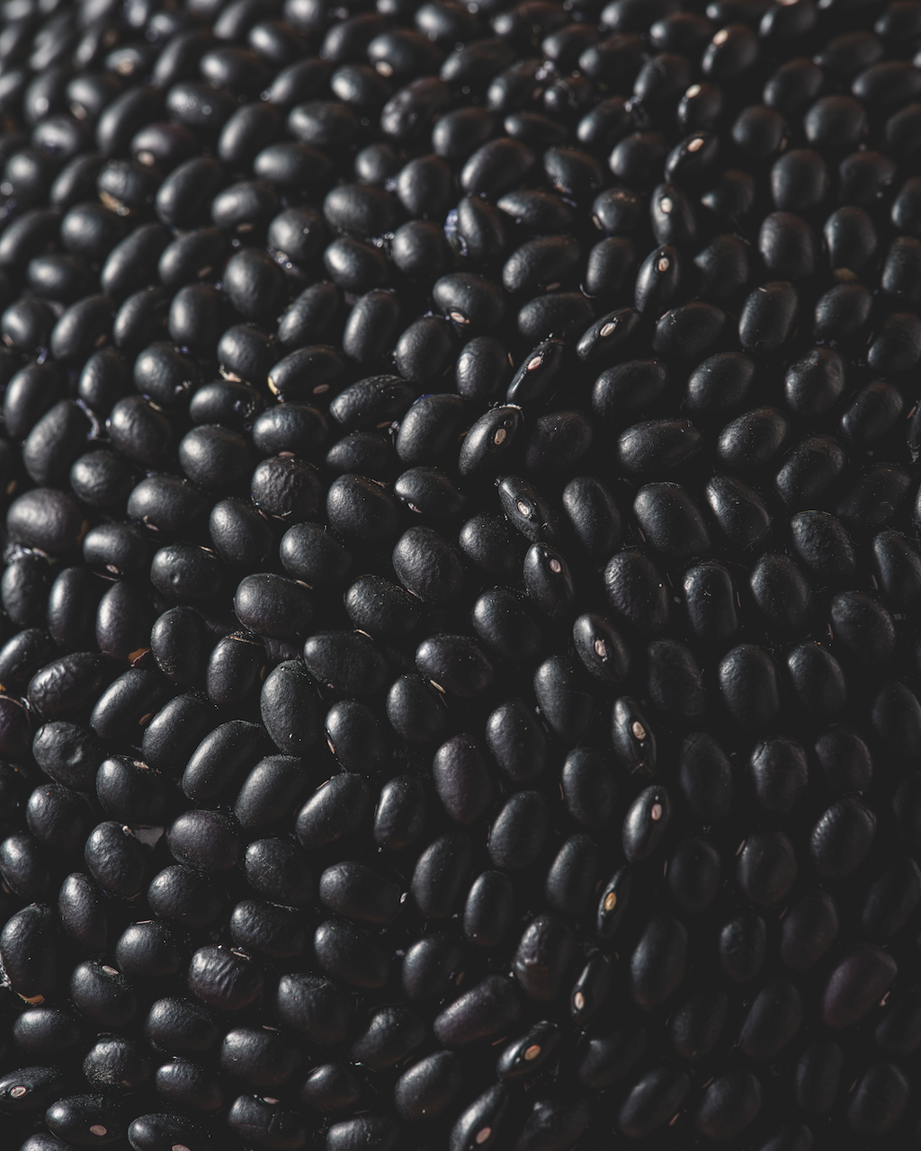 Page2_2025_08_ArtofPlay_Set2_0026 copy.png