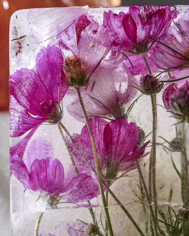 2025_08_ArtofPlay_Set2_0381 copy.png