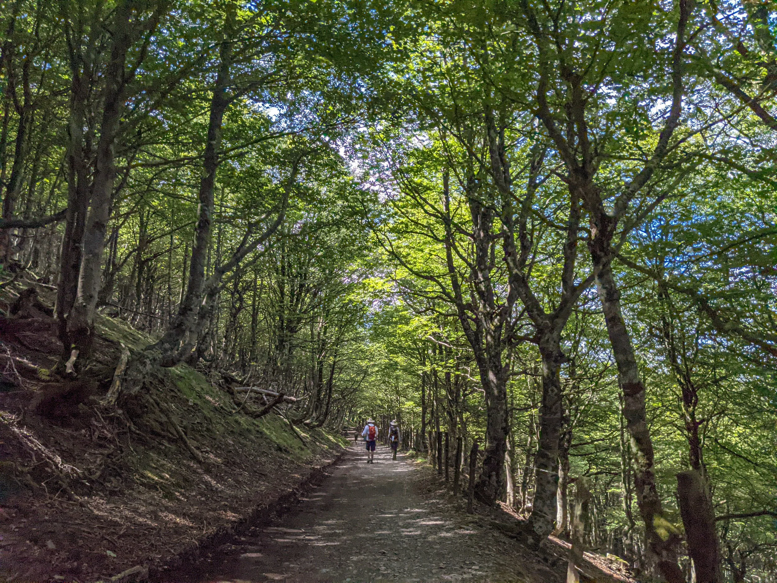 Camino portugués St Jean_2024-2.jpg