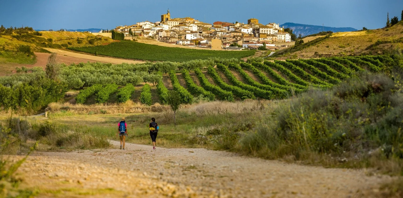 Finding My Way on the Meseta