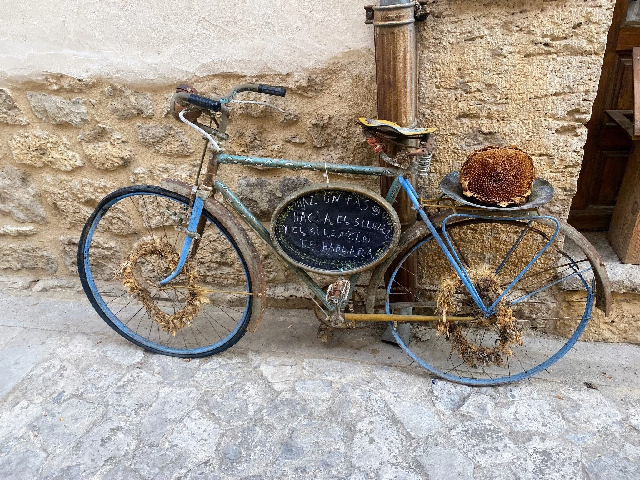 camino bike.jpg