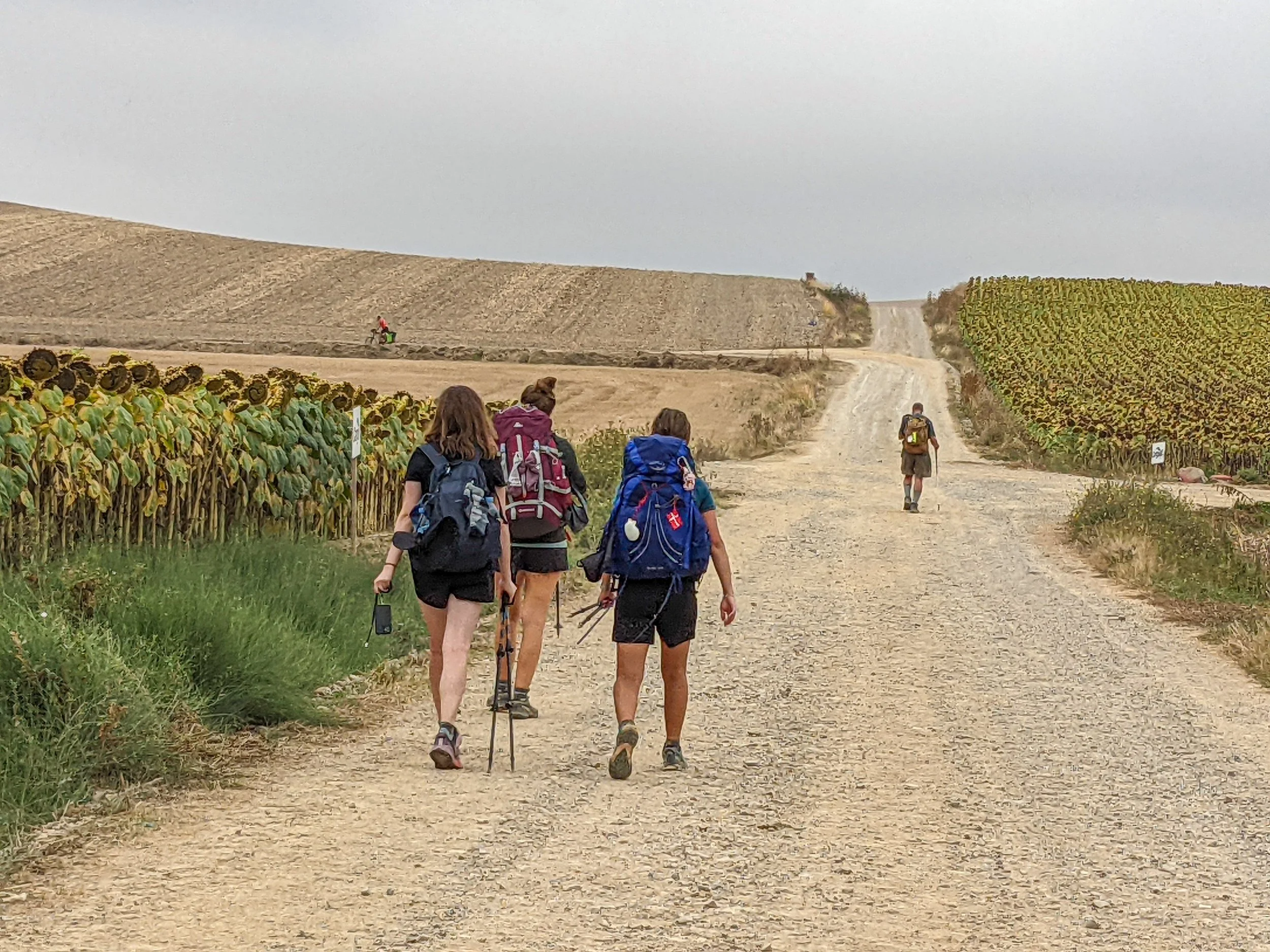 Camino portugués St Jean_2024-59.jpg