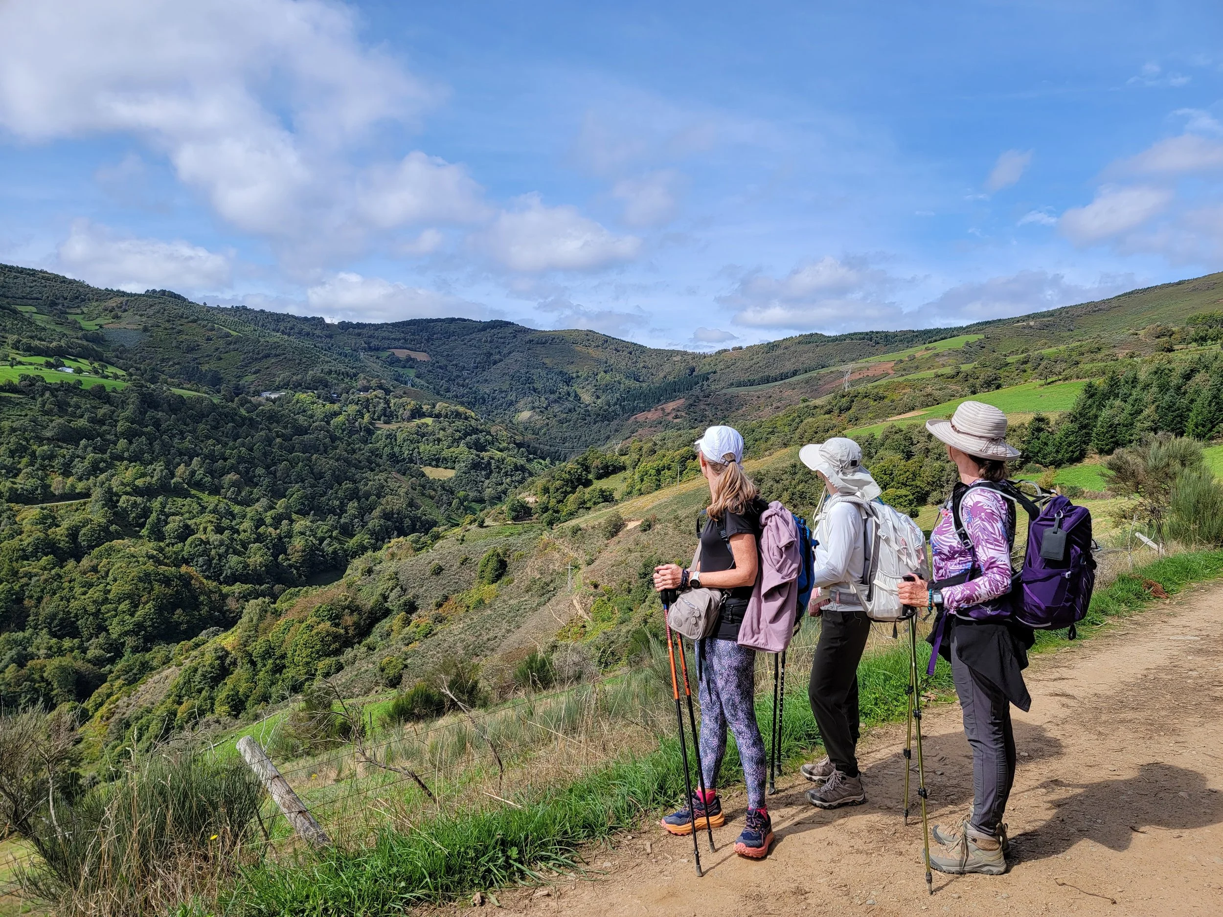 Group of women smiling outdoors on a hiking trail with trees and mountains in the background.