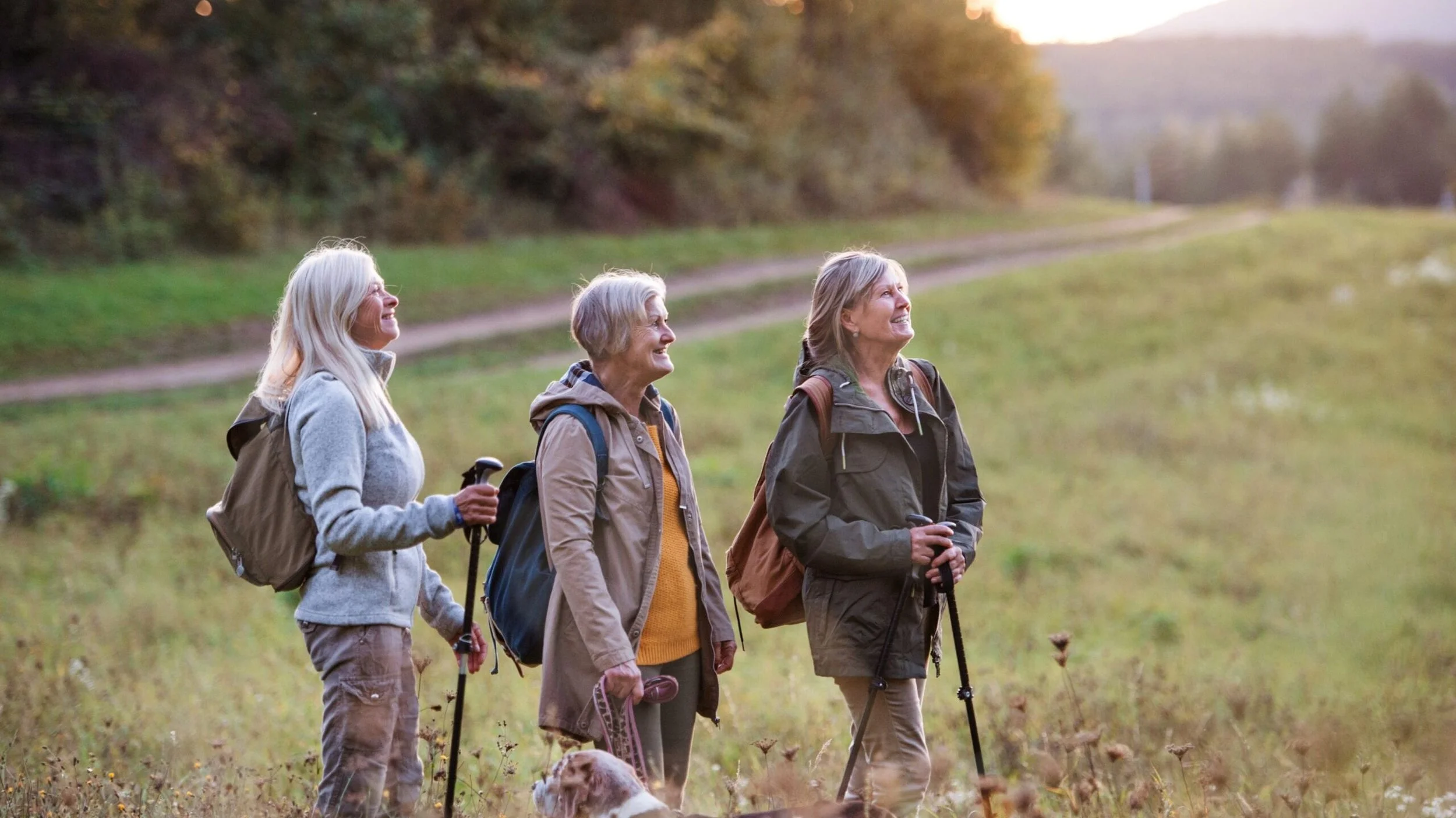 It's Time to Renew What’s Already Yours