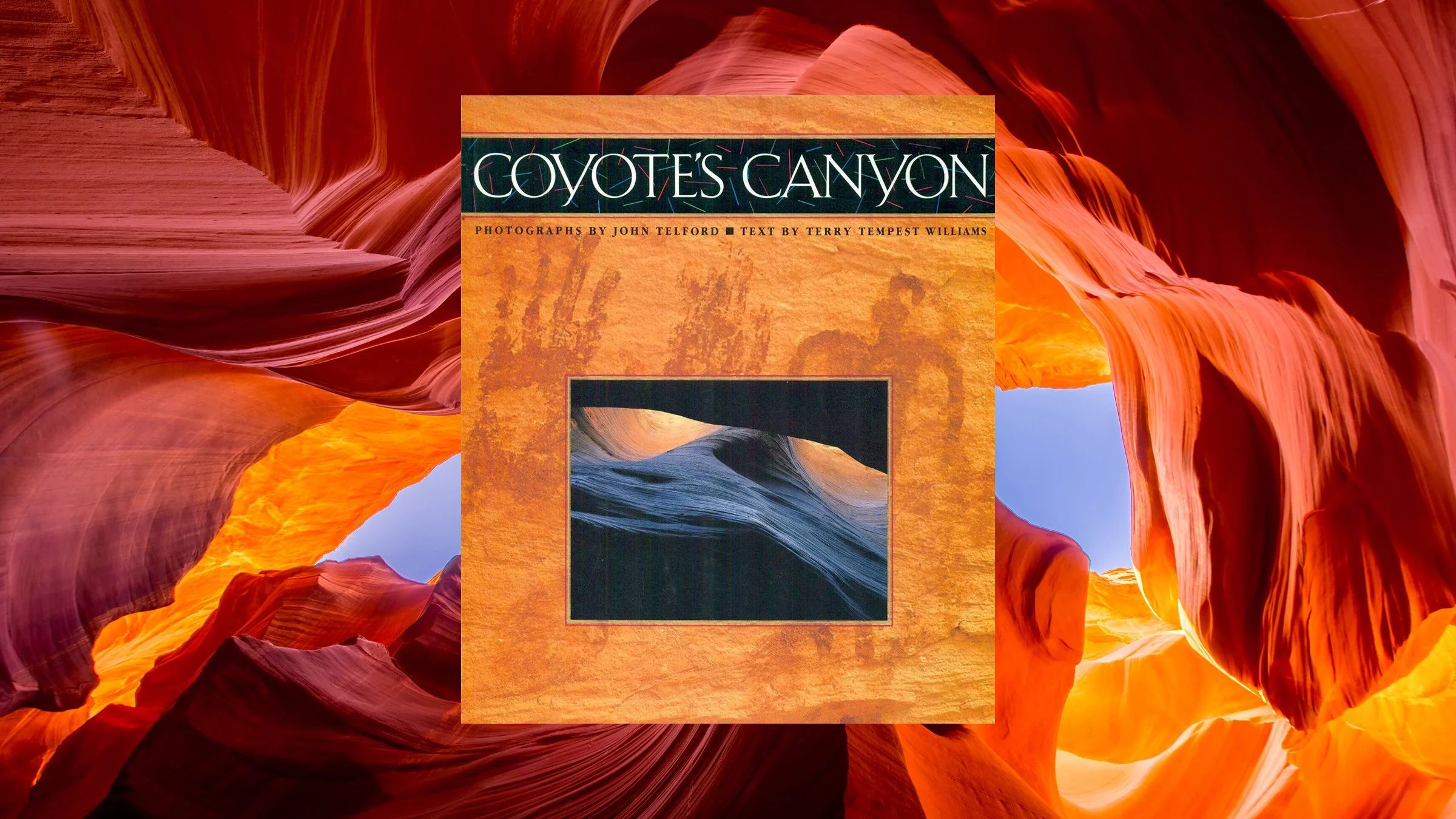 Book titled "Coyote's Canyon" featuring photographs by John Telford and text by Terry Tempest Williams, with a cover image of a canyon landscape.