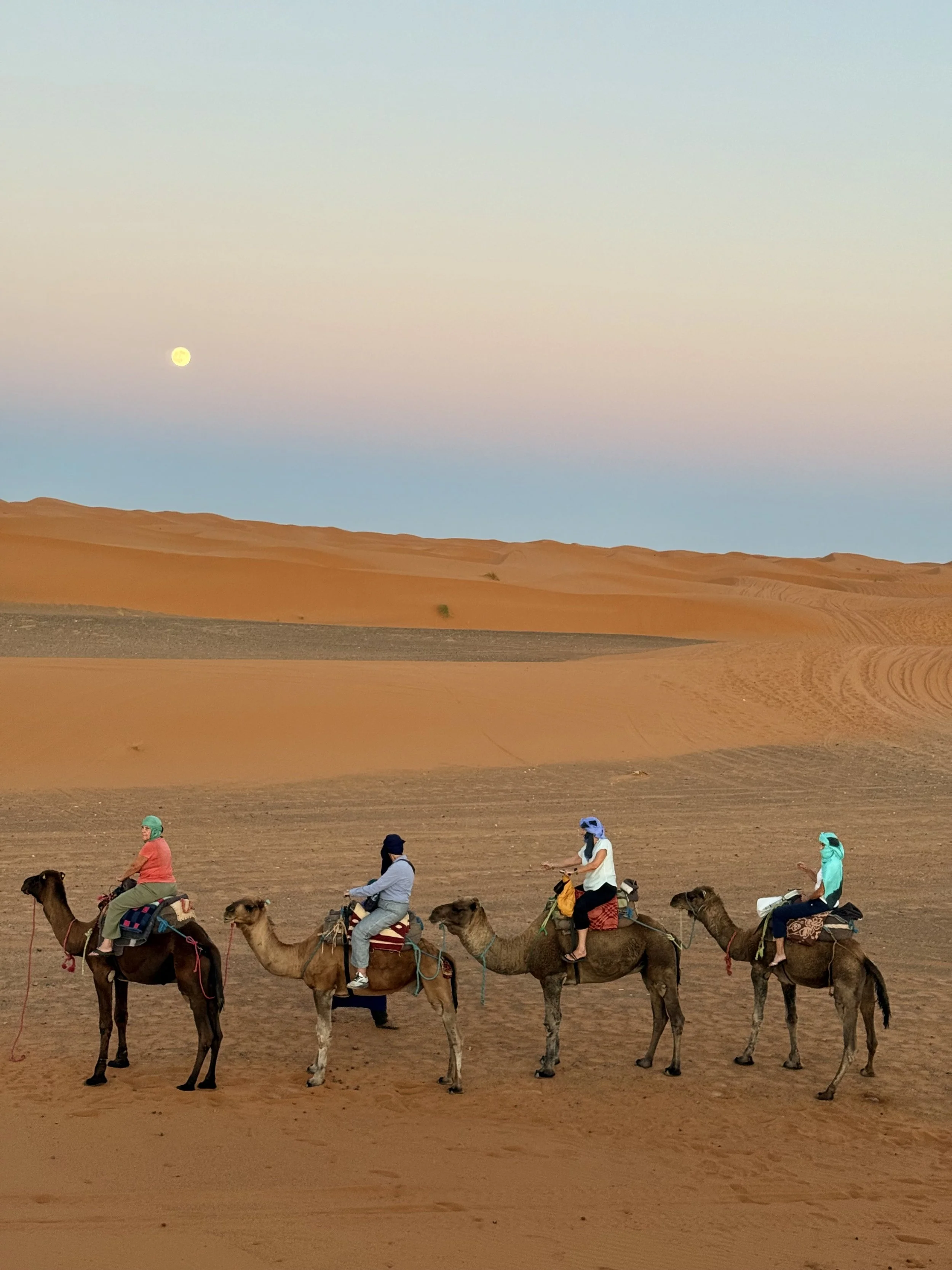 sahara desert camels women