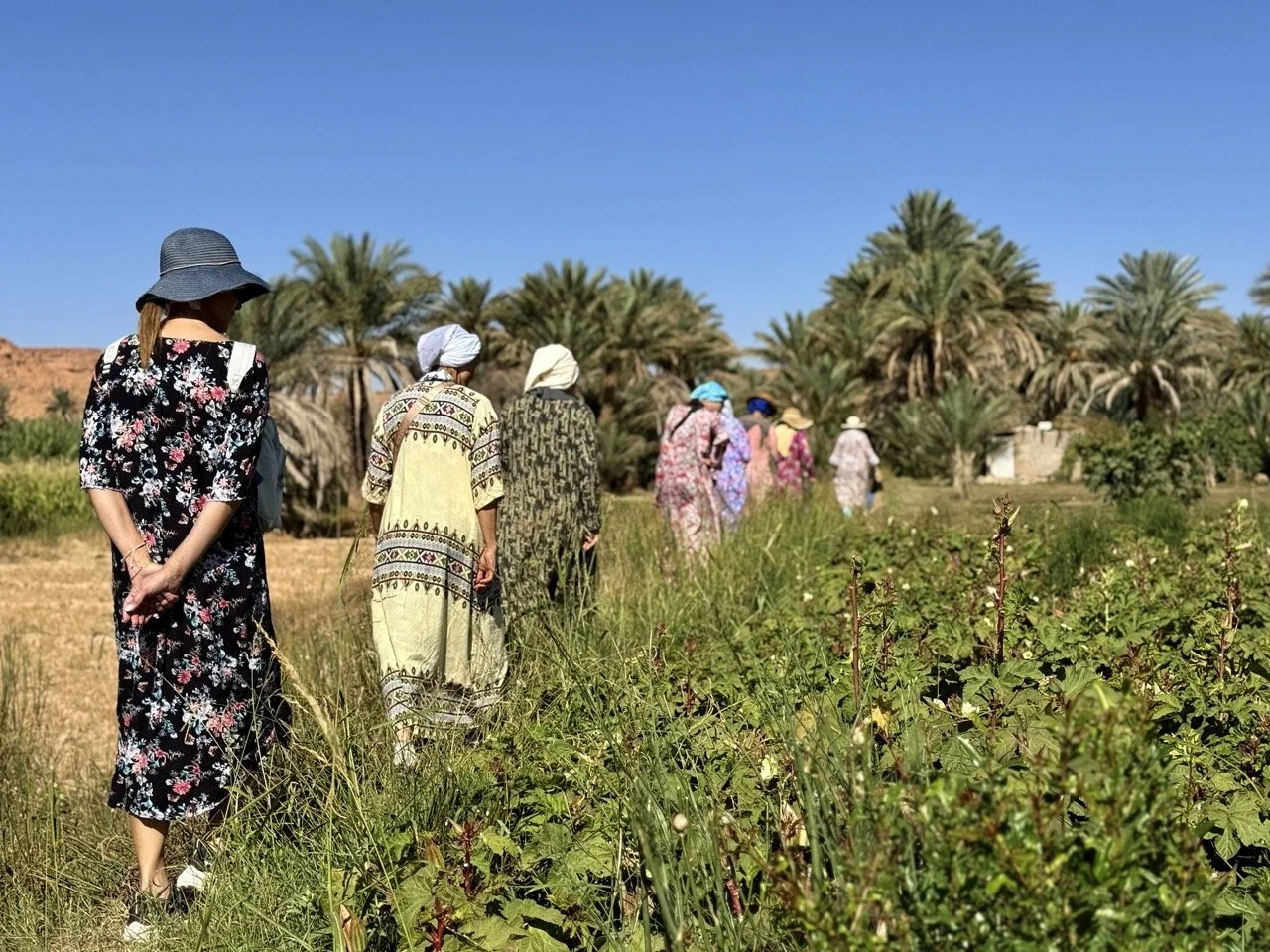 A group of people walking through a lush, green field towards palm trees under a clear blue sky.