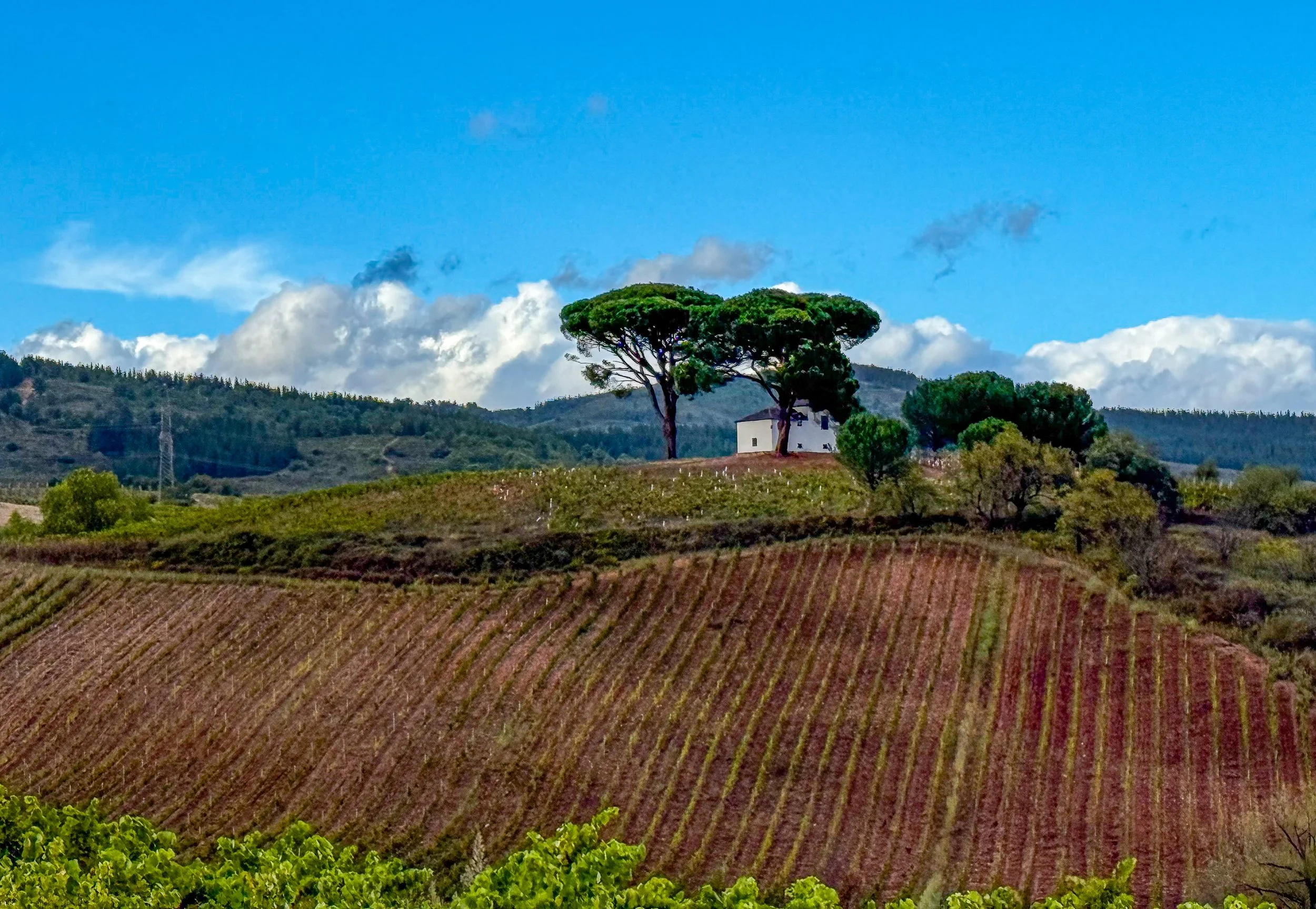 Best of Camino 2024-26.jpg