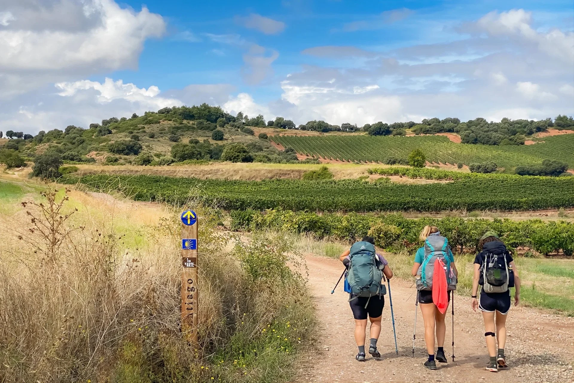 Four hikers walk along a dirt trail through a rural landscape with vineyards and rolling hills, under a partly cloudy sky.