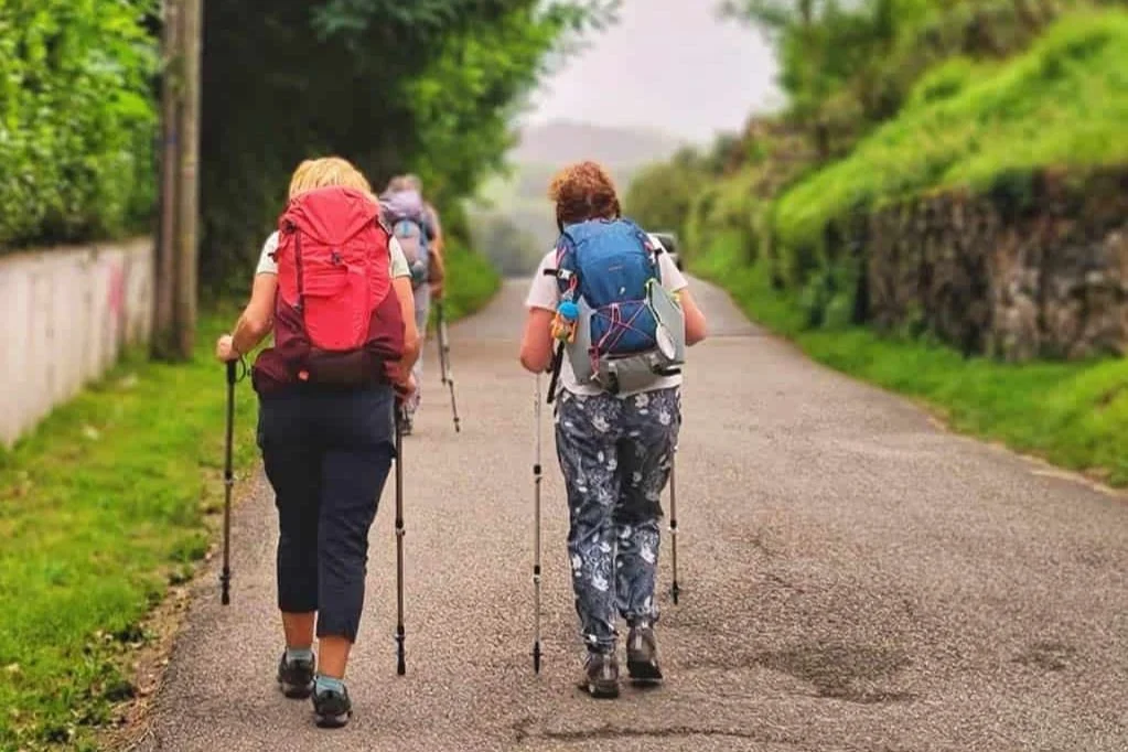 Four people hiking on a paved trail with backpacks and walking sticks, surrounded by green trees and grass.