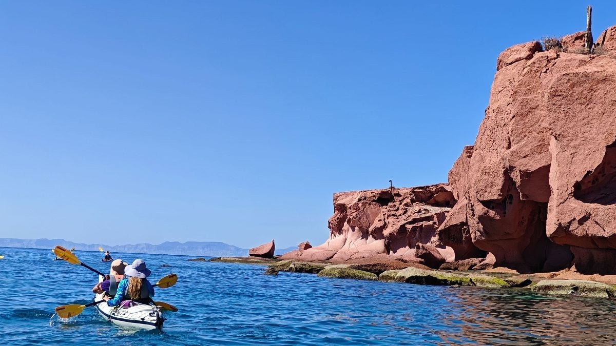 baja kayak what nature longs to teach us blog