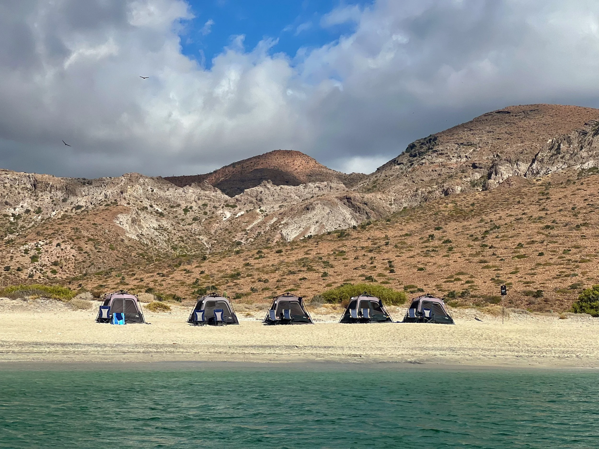 Five tents set up on a sandy beach near water, with arid mountains in the background under a partly cloudy sky, and two birds flying overhead.