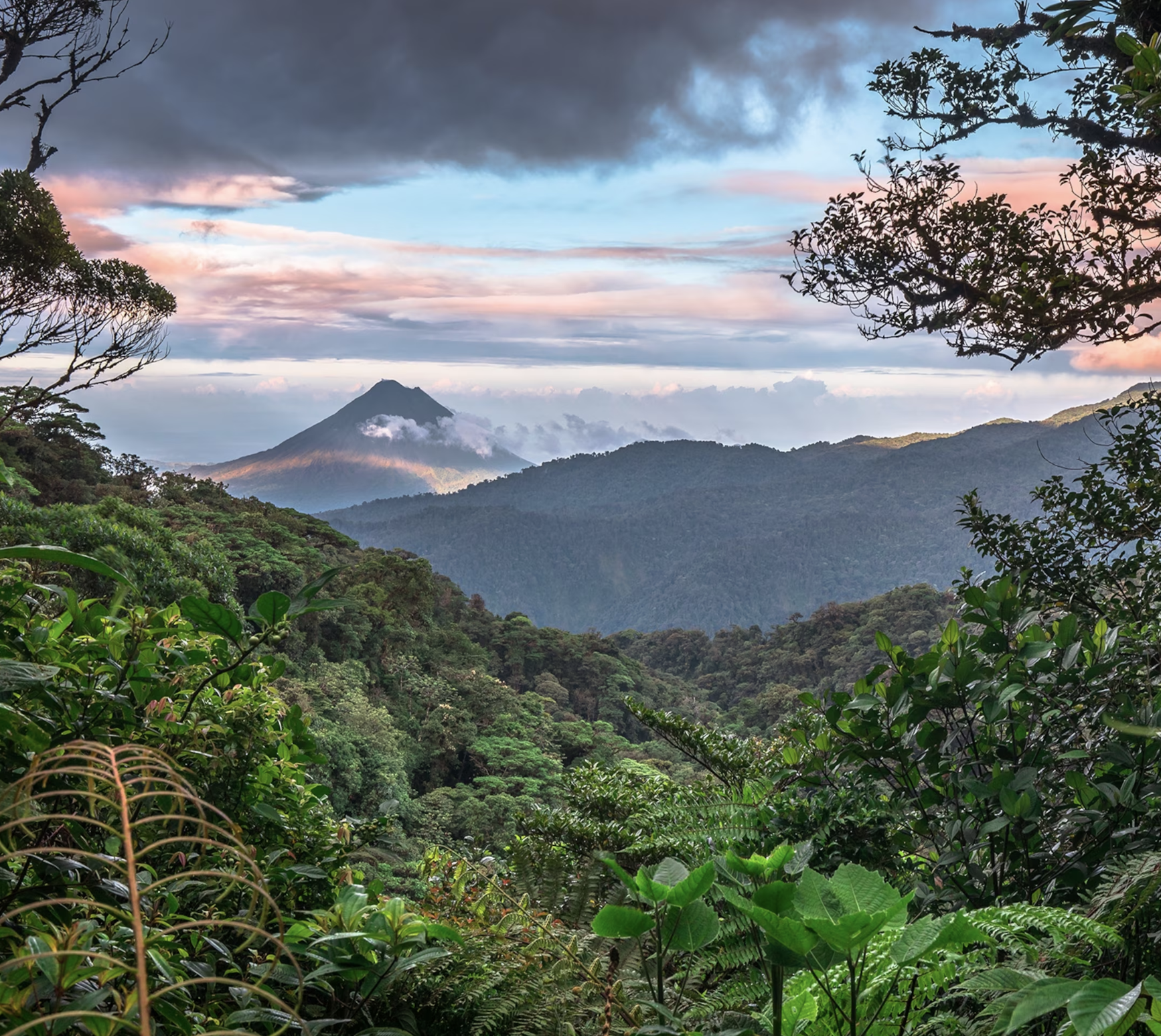 costa rica cloud forest